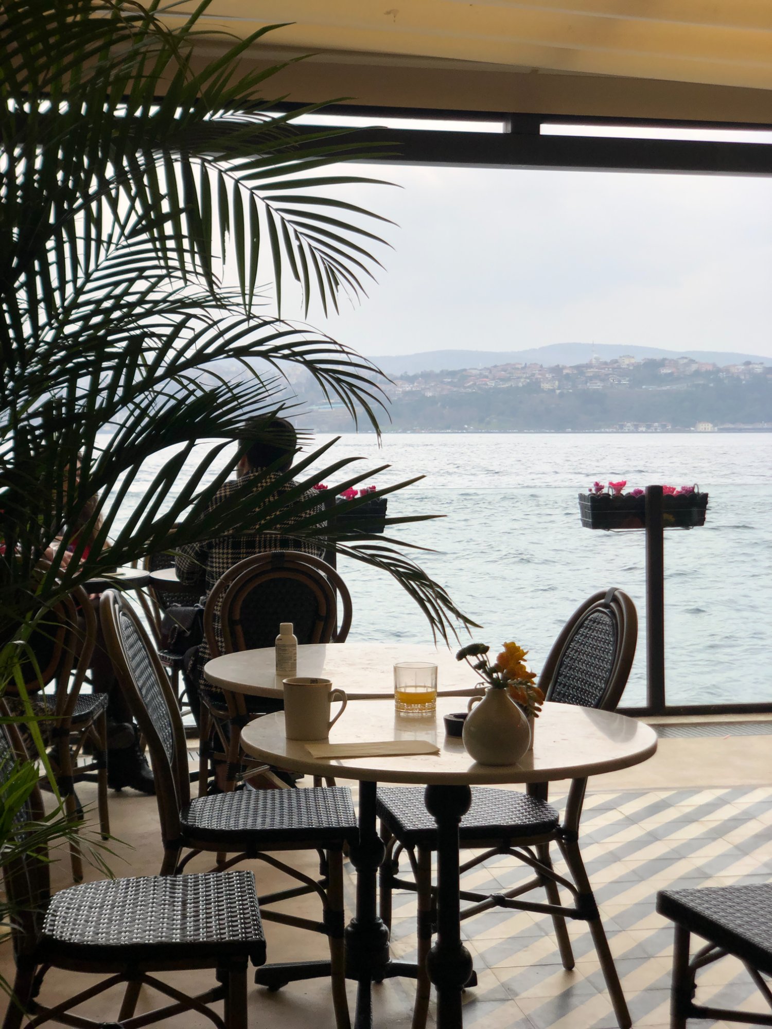 Pero — palm fronds, marble table, Bosphorus