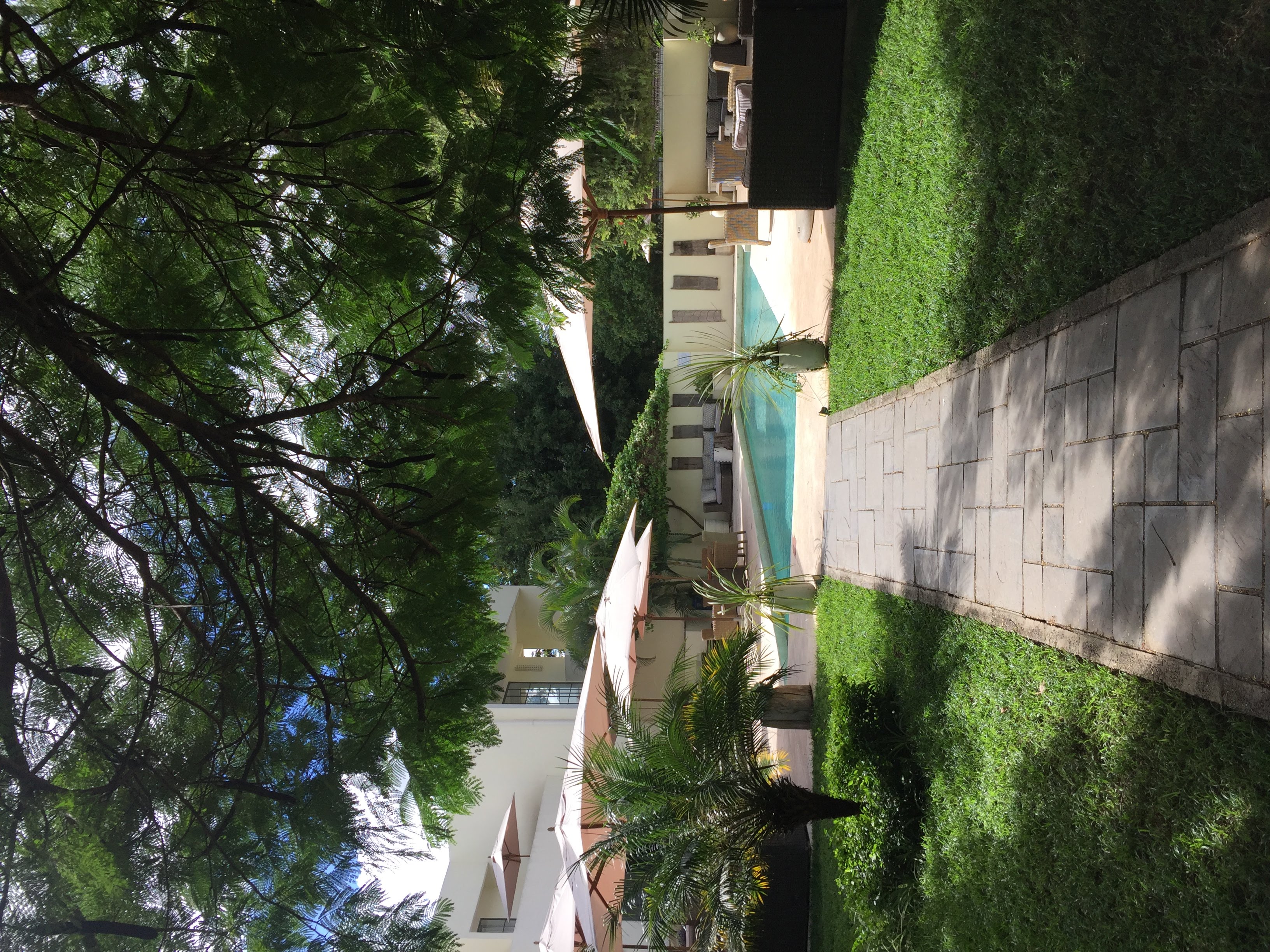 Garden path leading through lush tropical grounds to the pool at Latitude 15, Lusaka