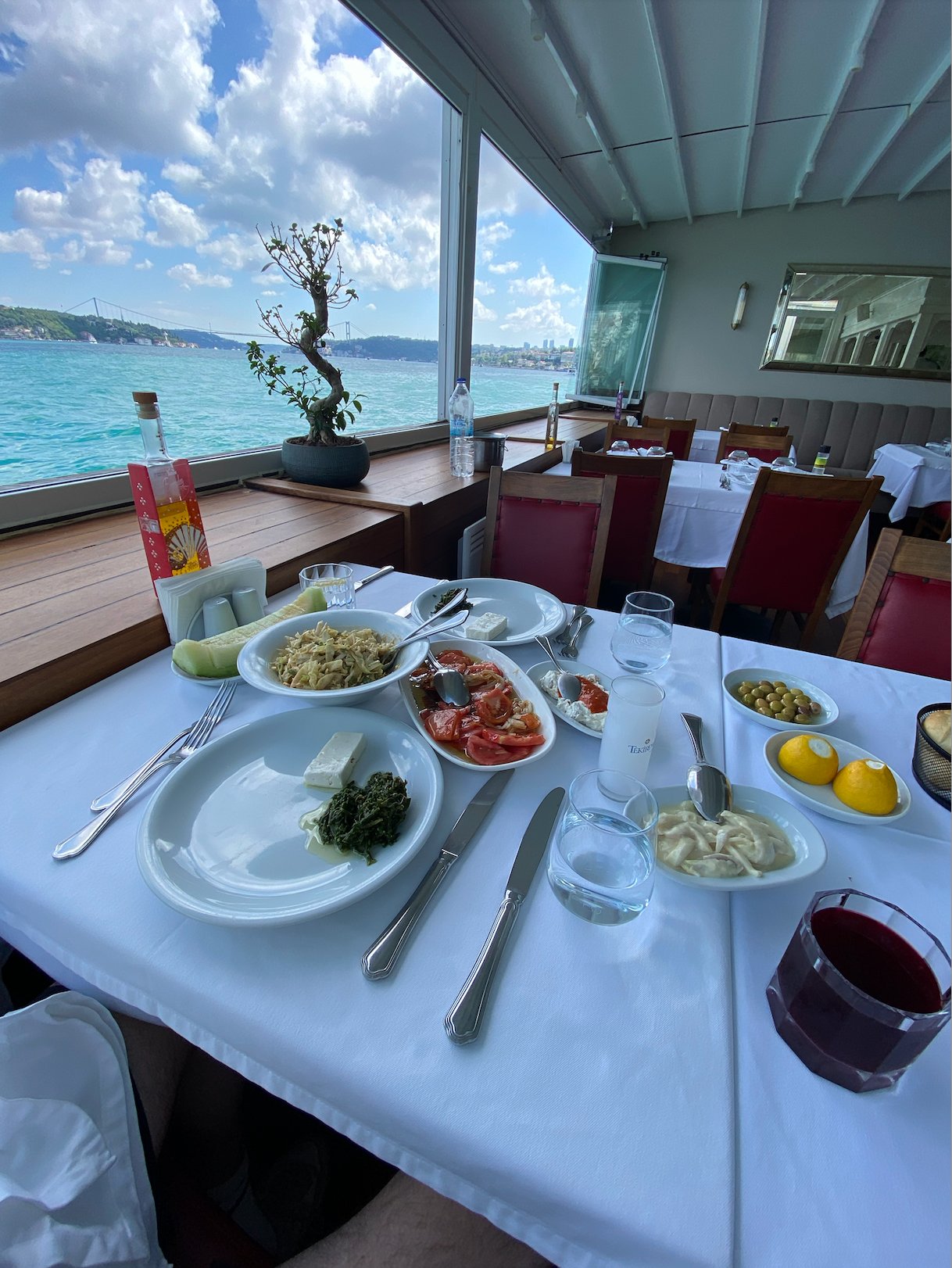 Mezze spread, raki and şalgam — smoke-free cabin, daytime