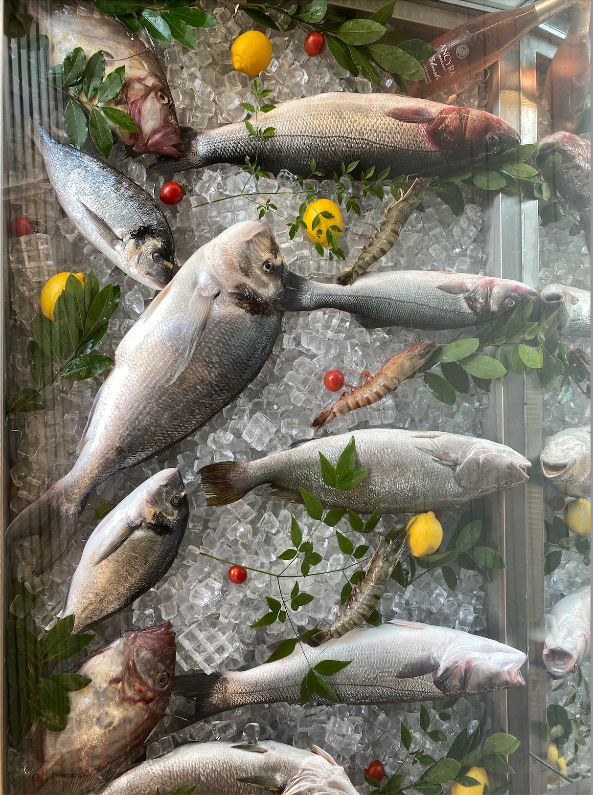 Fish display — pick your fish up front