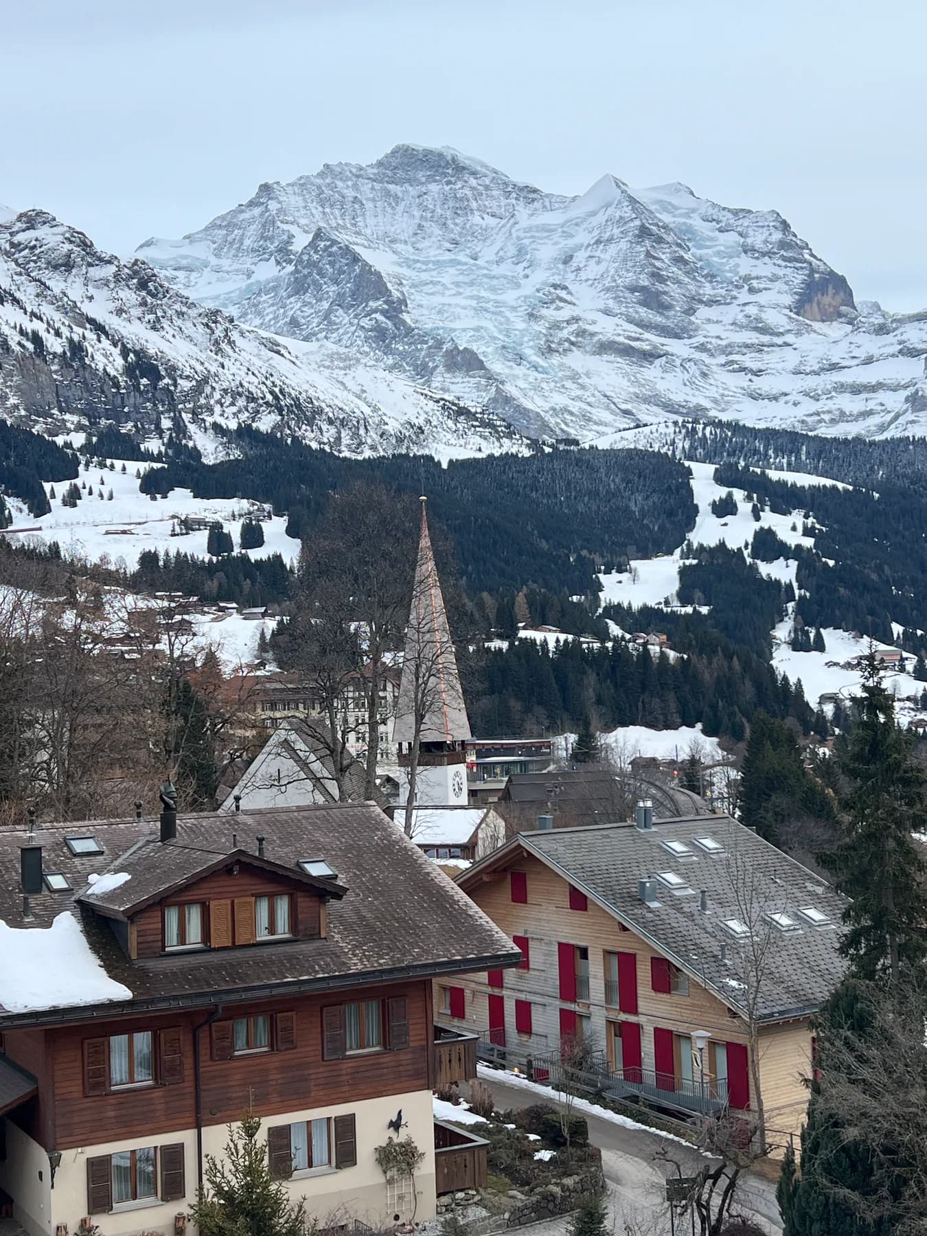 Grand Hotel Belvedere, photo 8