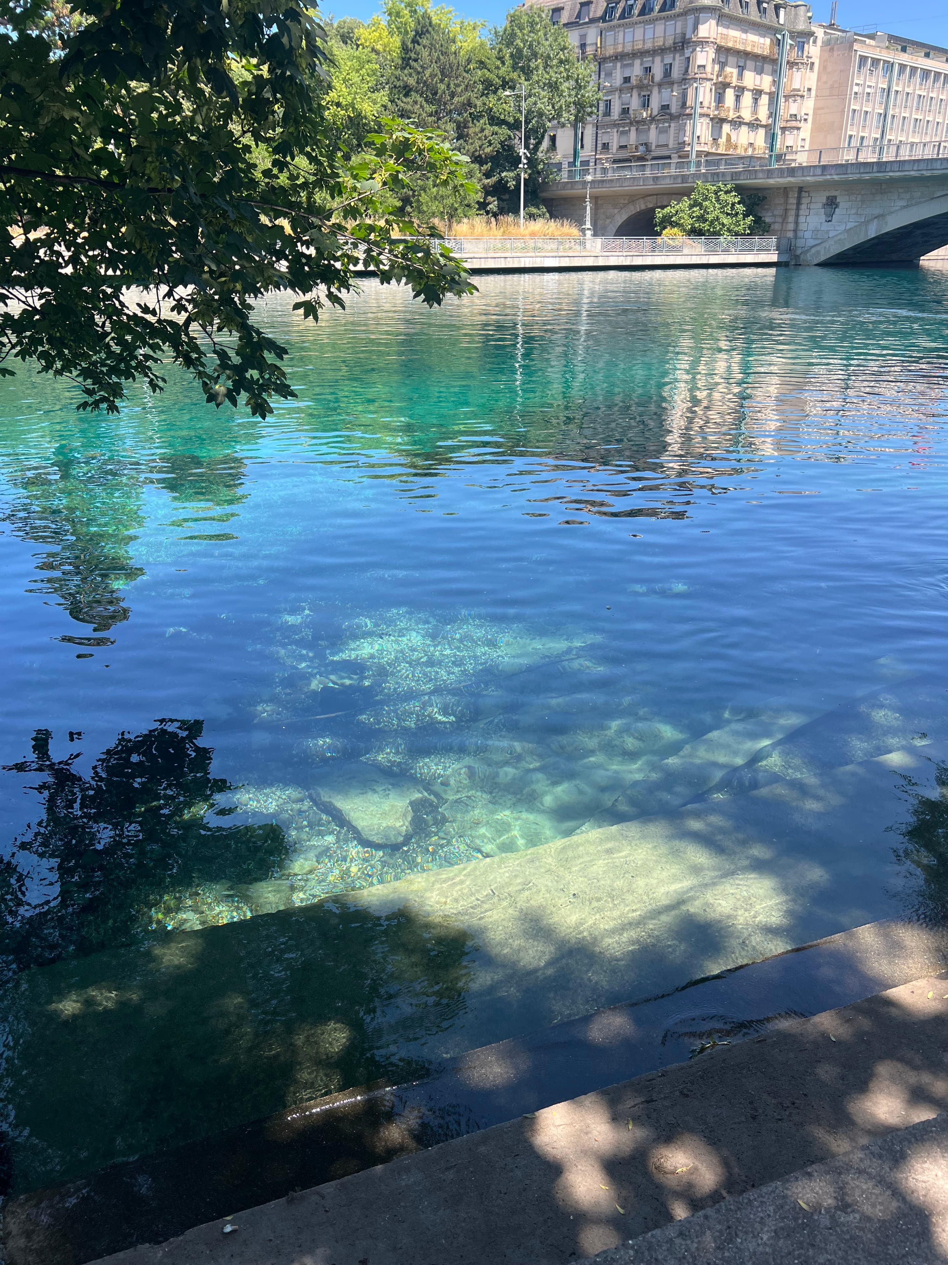 The Rhône beside La Barje, a favorite Geneva river-swimming spot