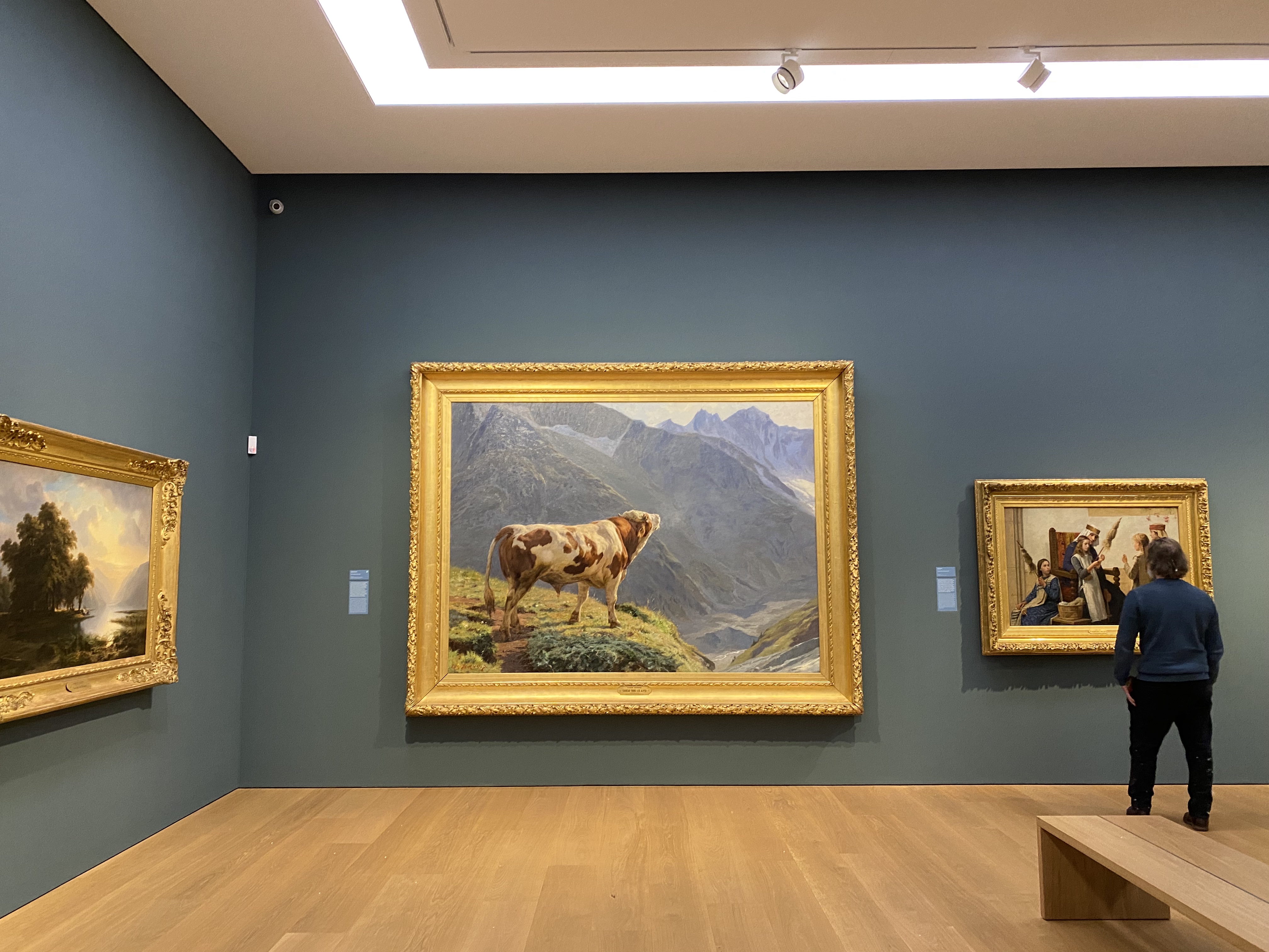 Large Swiss Alpine cow painting in a teal gallery room at Musée d'Art et d'Histoire Geneva