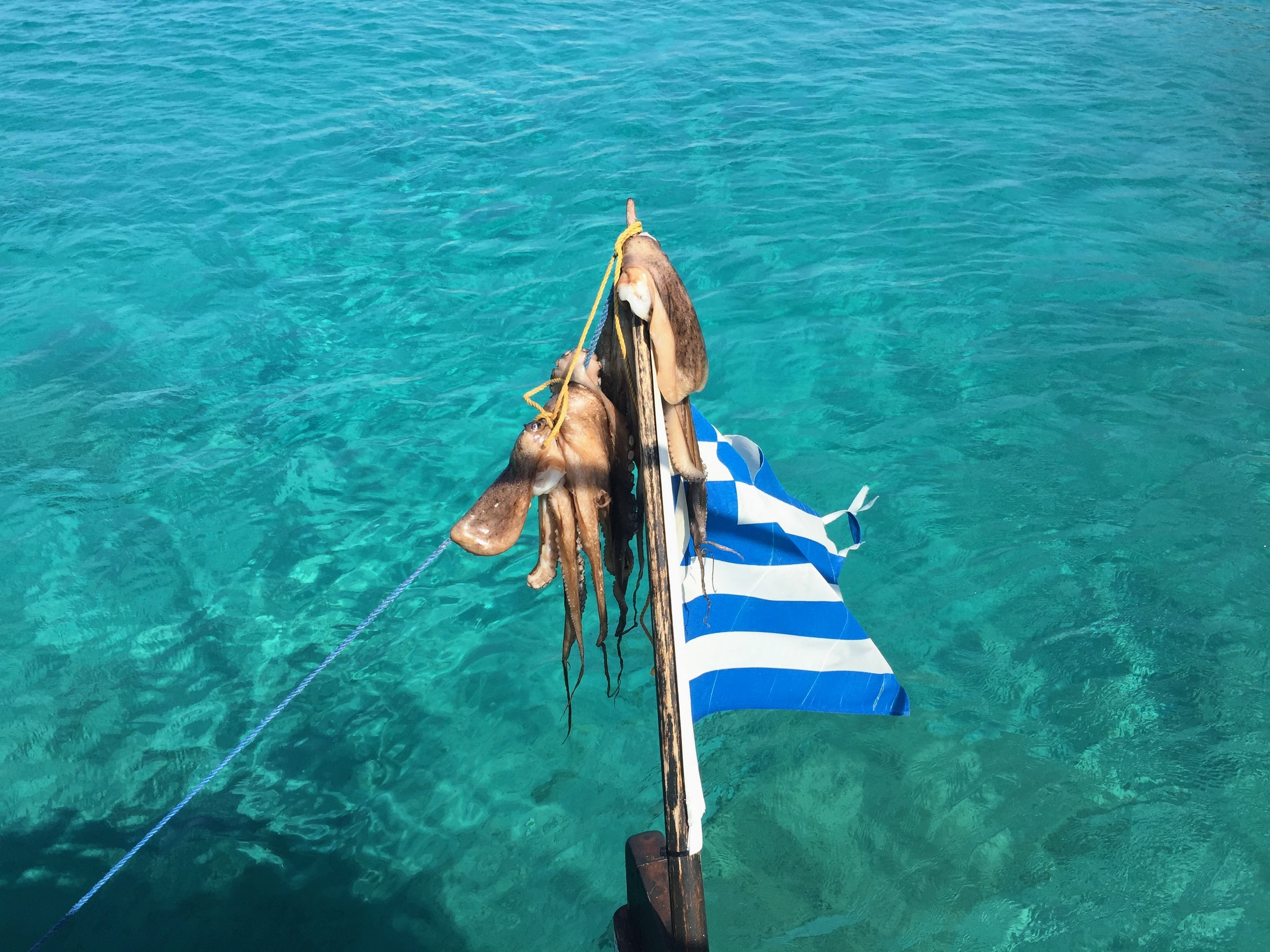 Octopus drying on a Greek flagpole, turquoise water below, Astypalea