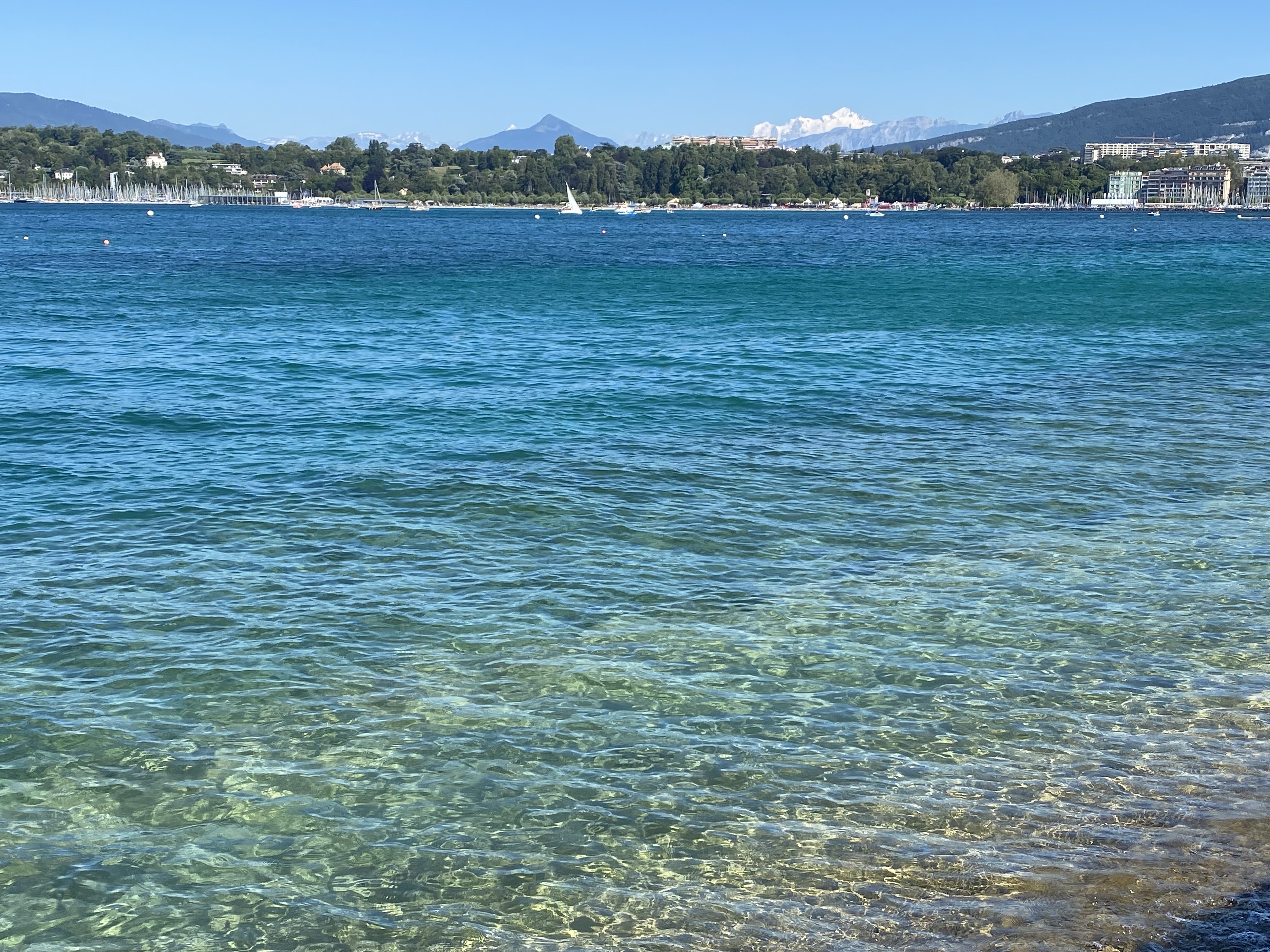 Lake Geneva water from Bains des Pâquis — turquoise, the Alps in the distance