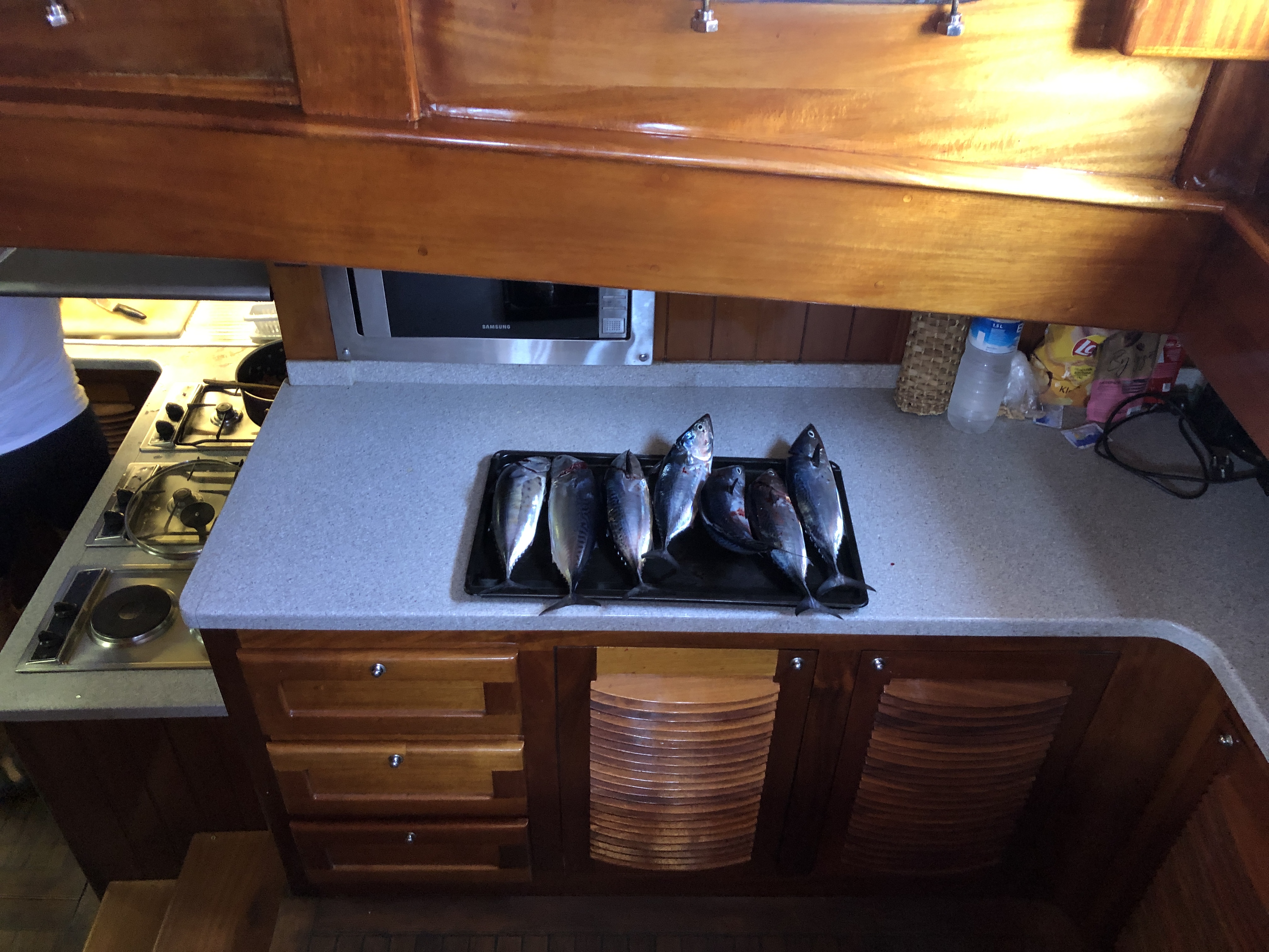 The day's catch — fresh bonito on a tray with the Aegean behind