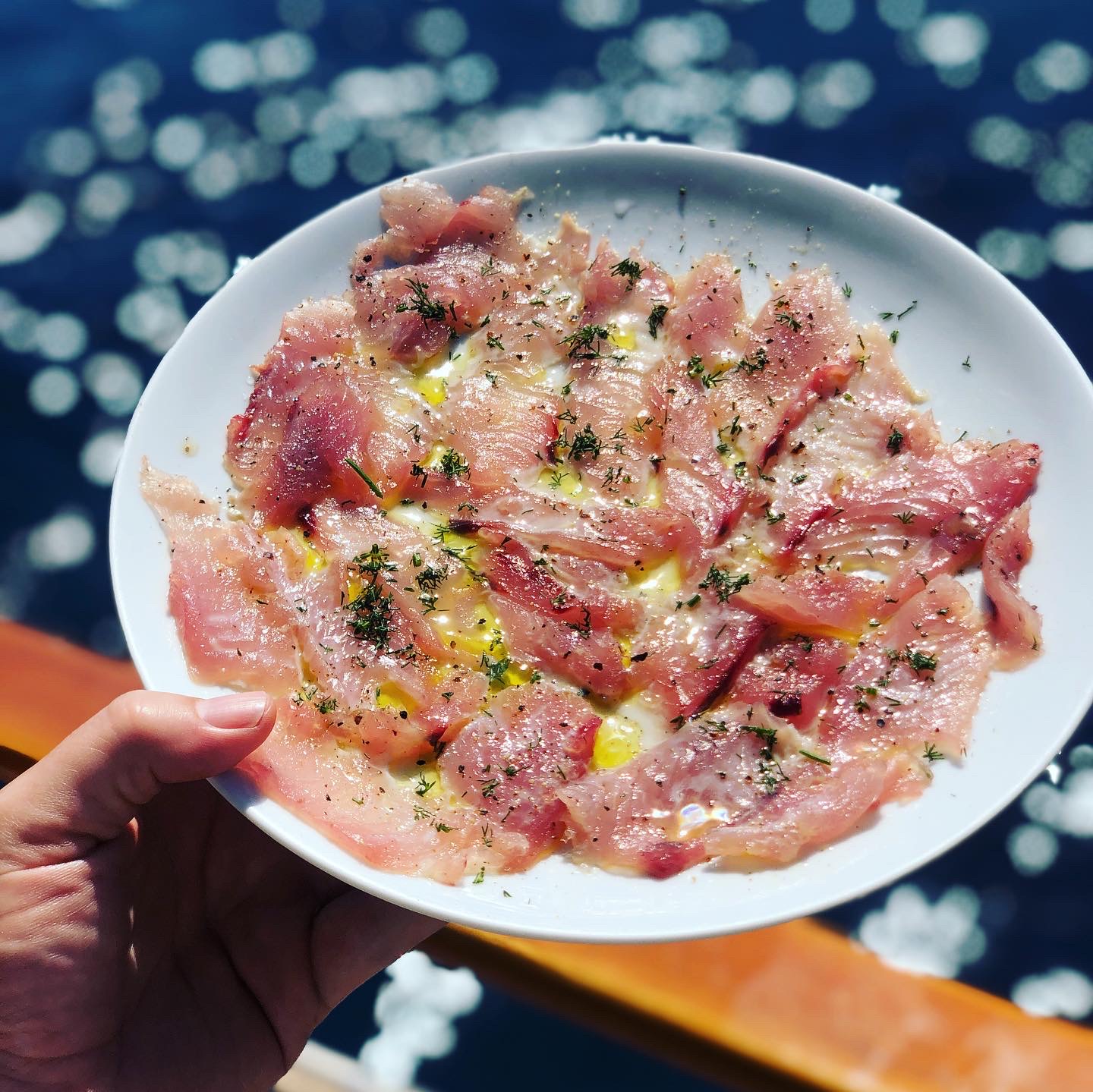 The chef on Il Fratello fillets a fresh-caught bonito in the galley