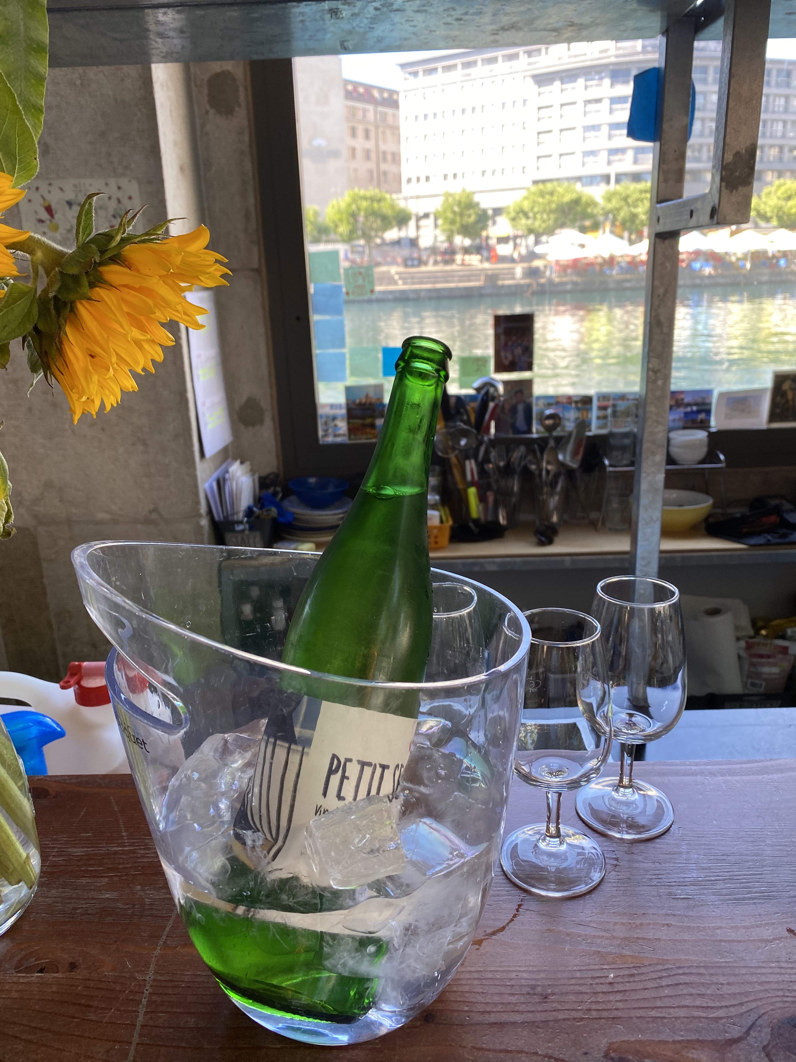 A green bottle of local Geneva wine in an ice bucket at Bongo Joe, with sunflower and the river in the background