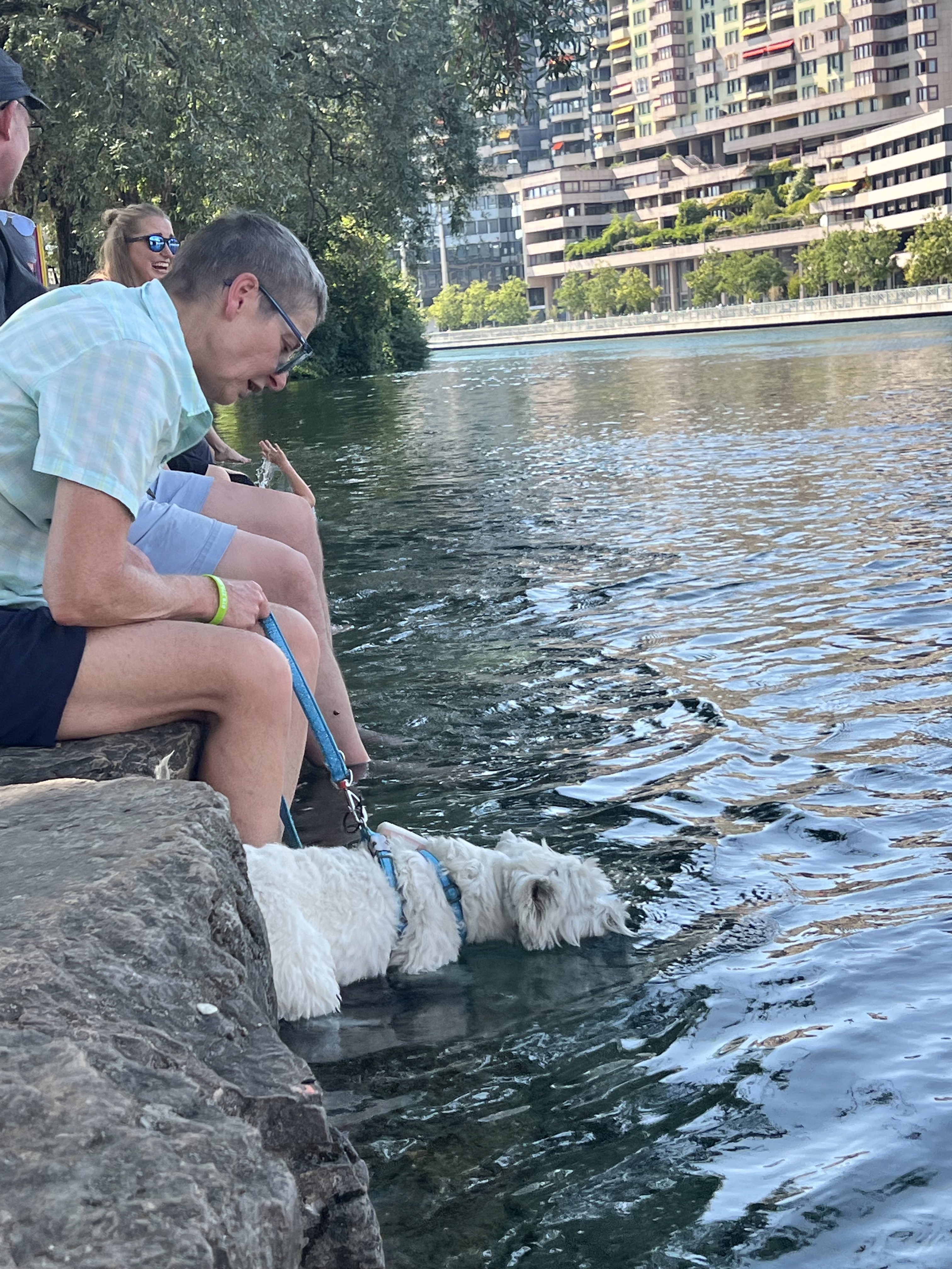 A man and a small white dog sitting on the Rhône riverbank at La Barje Geneva, dog wading in the water