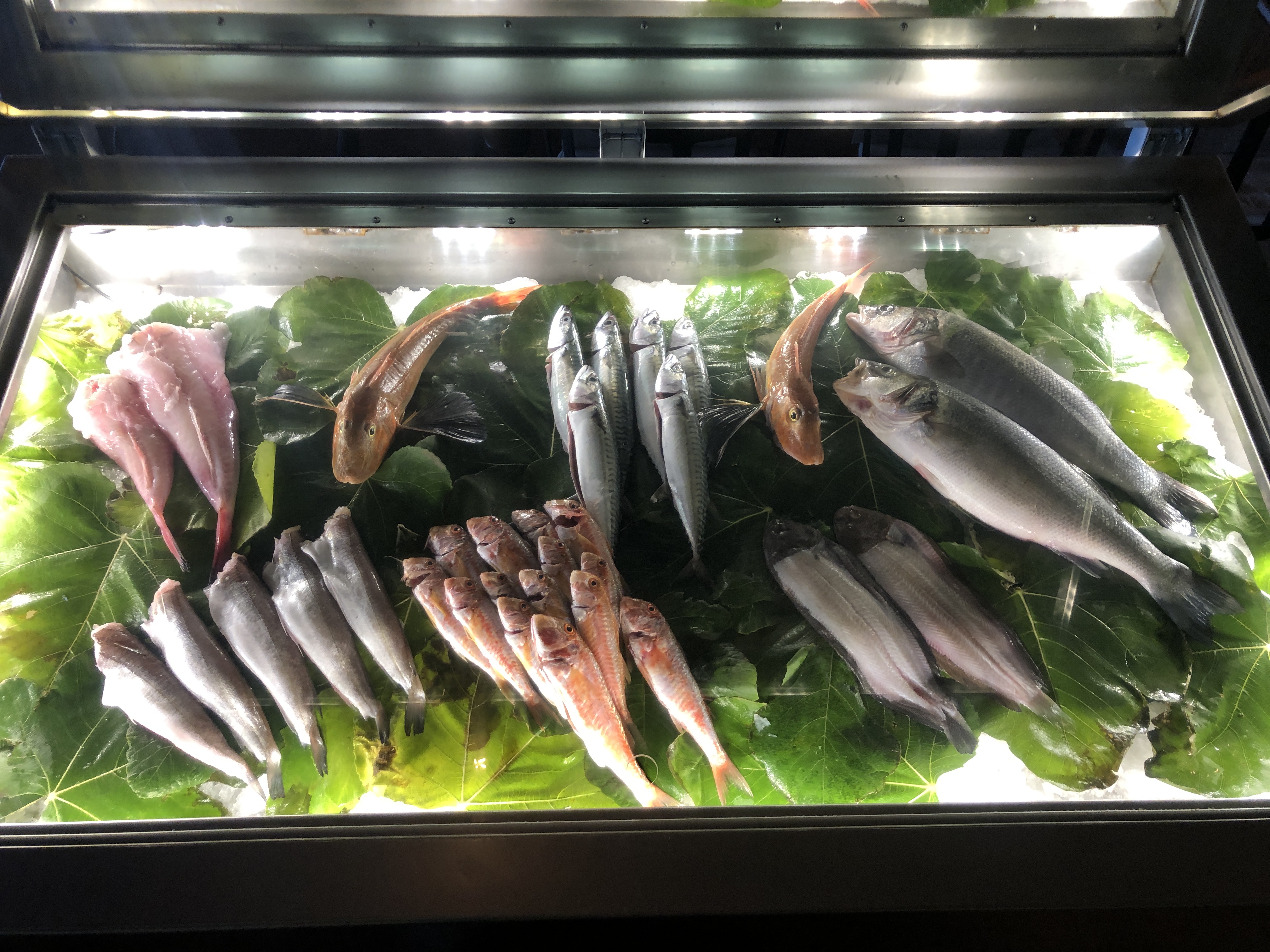 Lit fish counter at Filinta — the day's catch laid out on grape leaves on ice