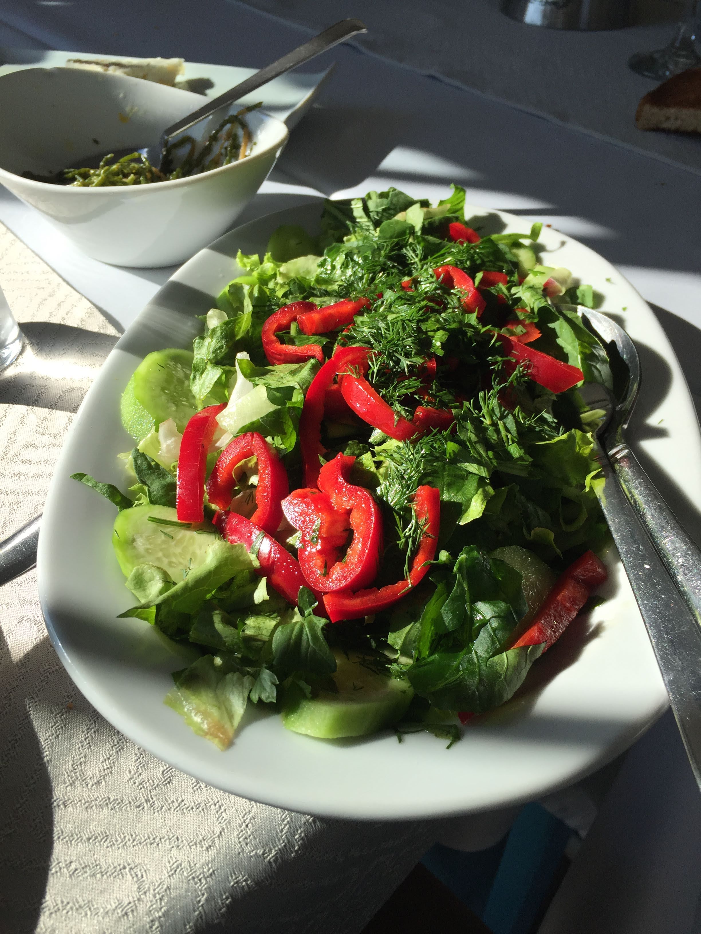 A bright herb salad with red peppers, dill and parsley at Filinta
