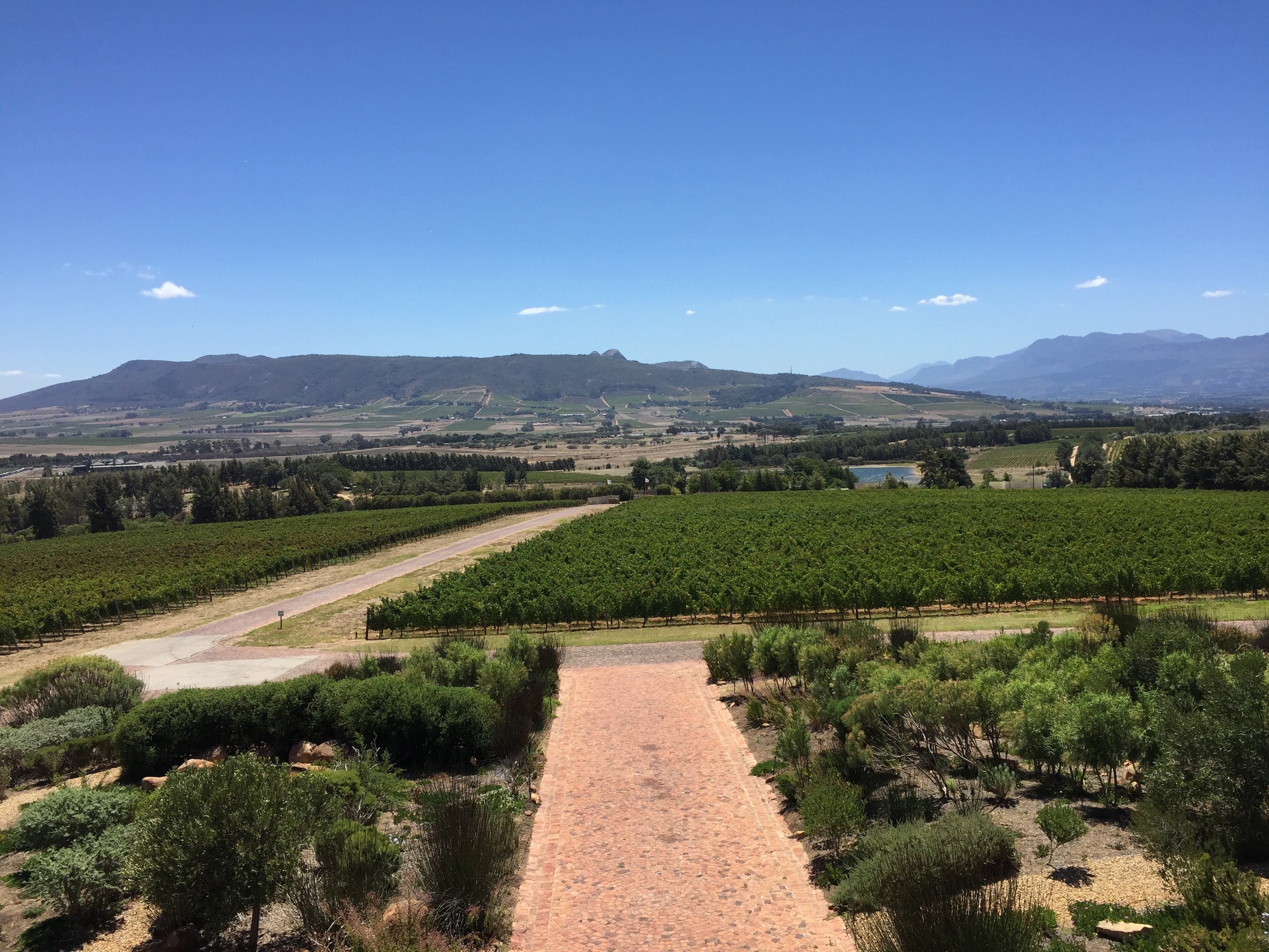 Glen Carlou estate wide — vineyard, cellar, Simonsberg mountains behind under blue sky