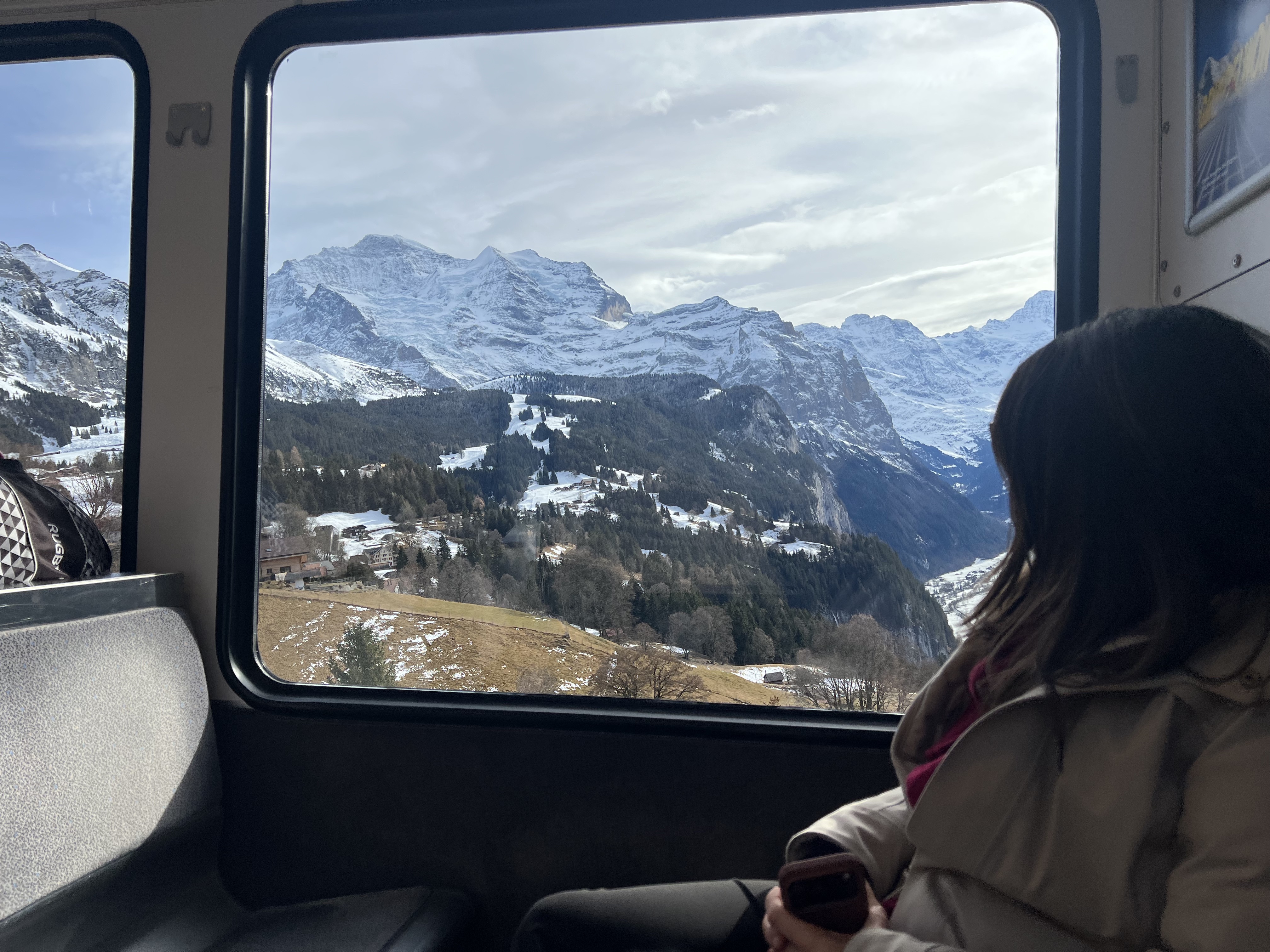 Wengernalpbahn cog railway to Wengen, Bernese Oberland