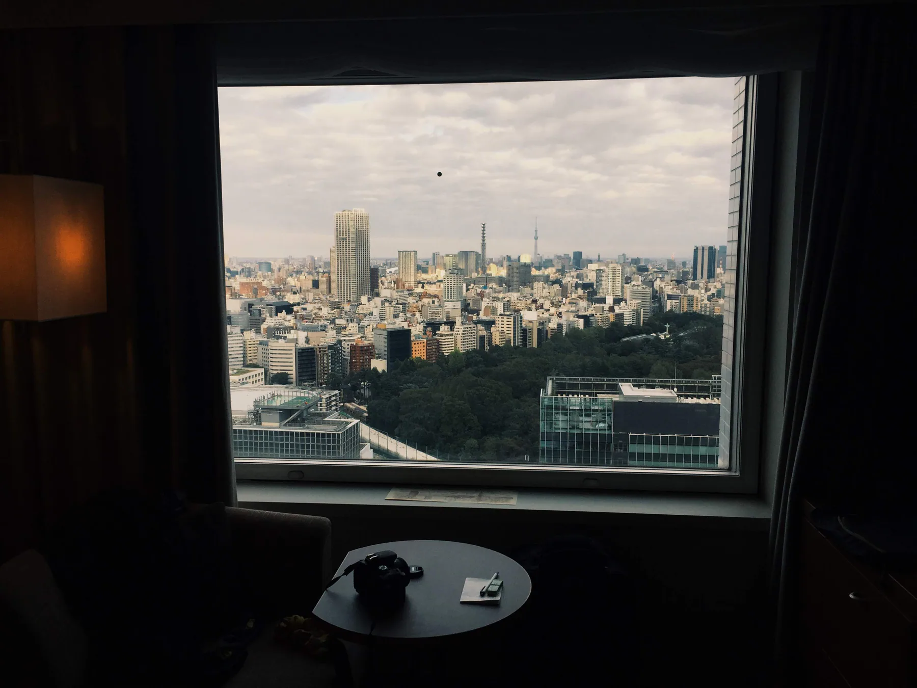 Hotel CenturySouthern Tower, photo 3