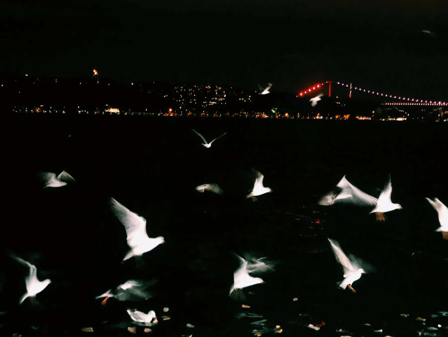 Arnavutköy Restaurant, photo 6
