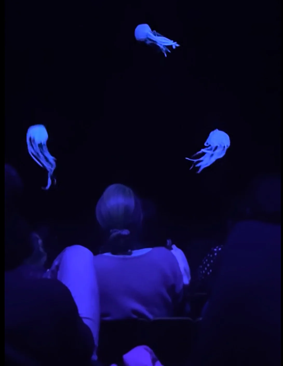 Théâtre des Marionnettes de Genève, photo 3