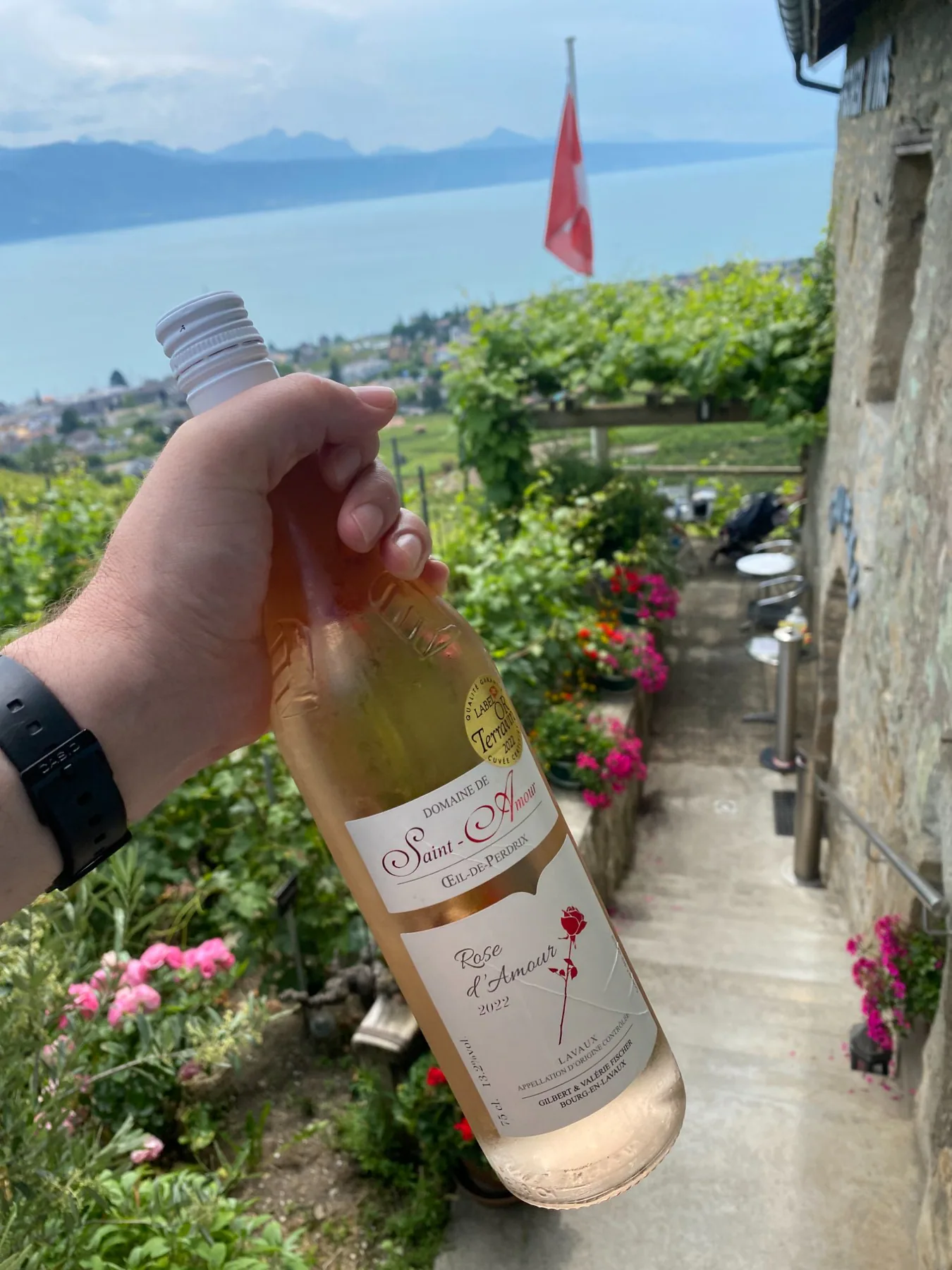 Domaine Saint-Amour, photo 2