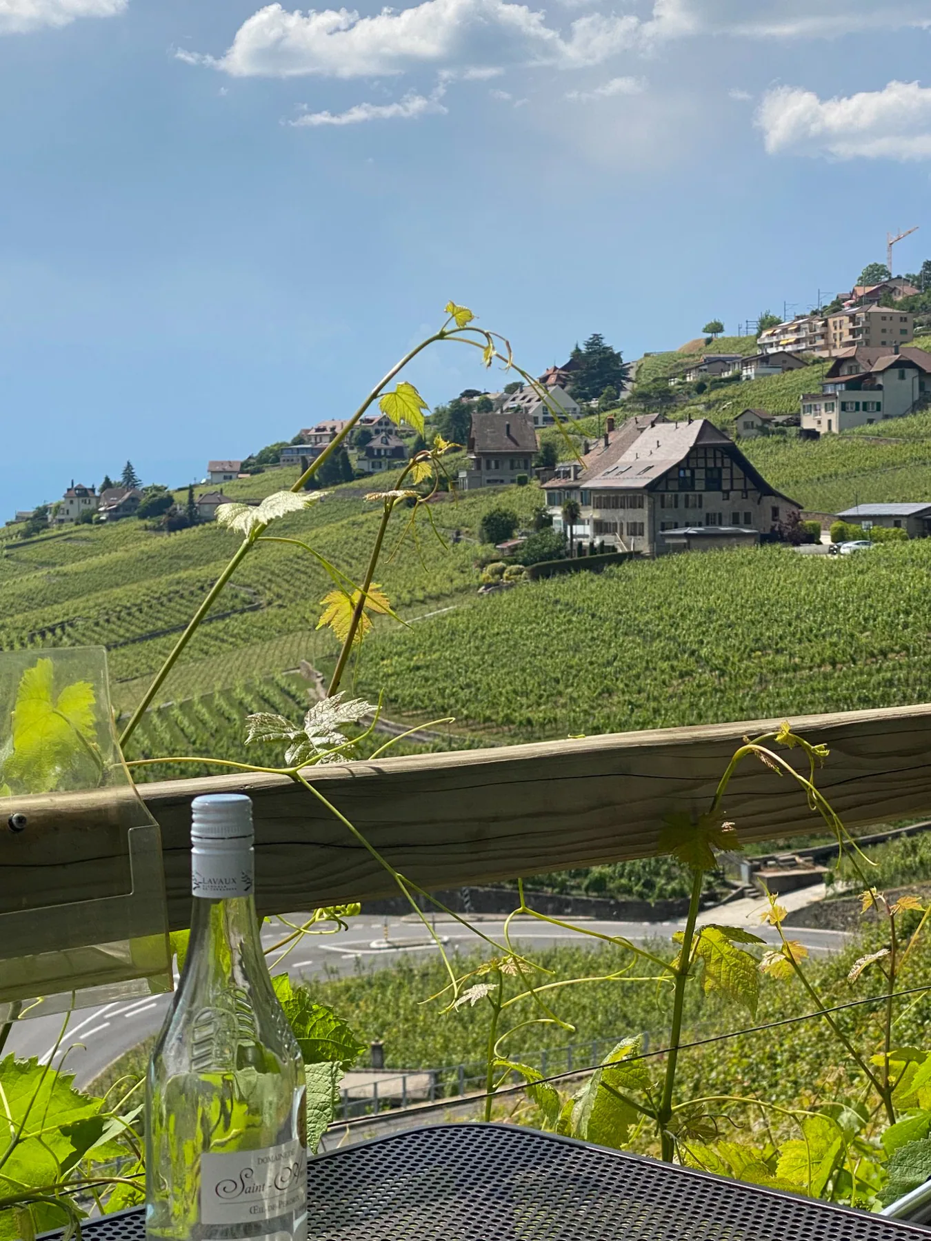 Domaine Saint-Amour, photo 3