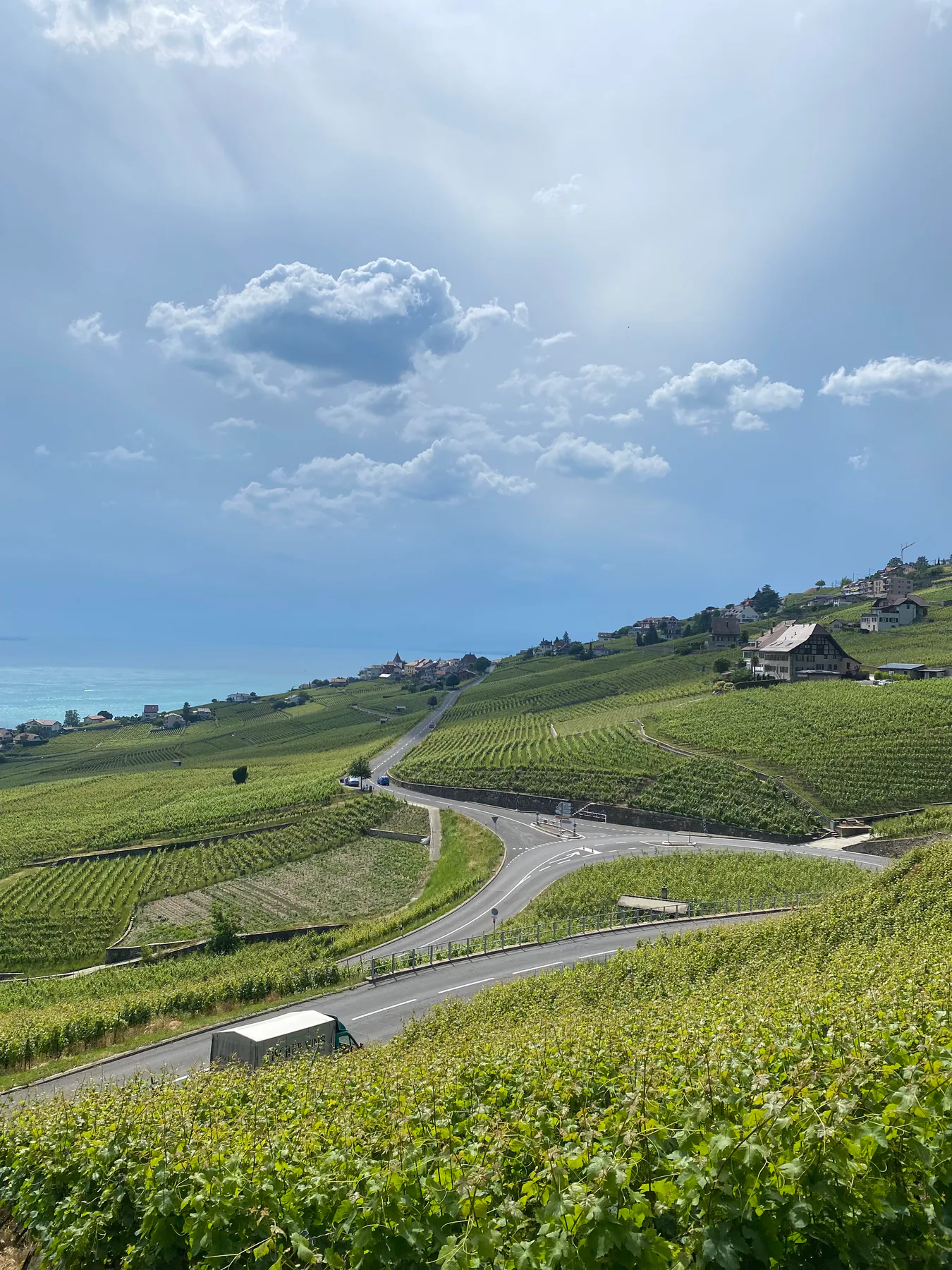 Domaine Saint-Amour, photo 8
