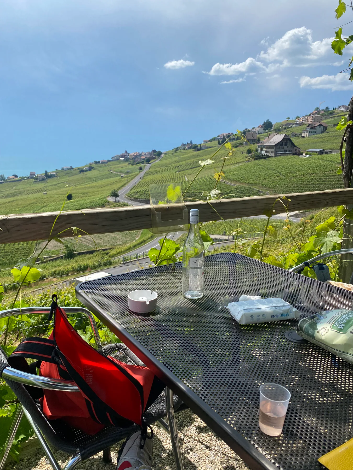 Domaine Saint-Amour, photo 5