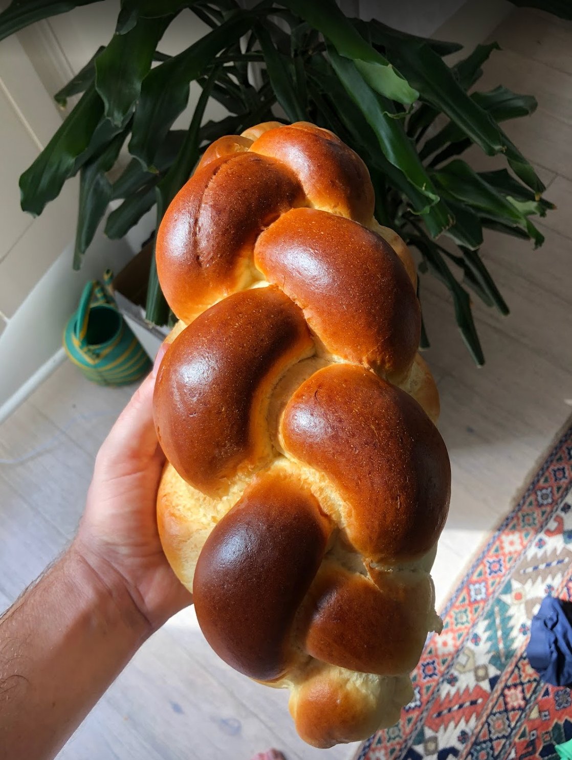 Karma Bread exterior, South End Road, Hampstead Heath