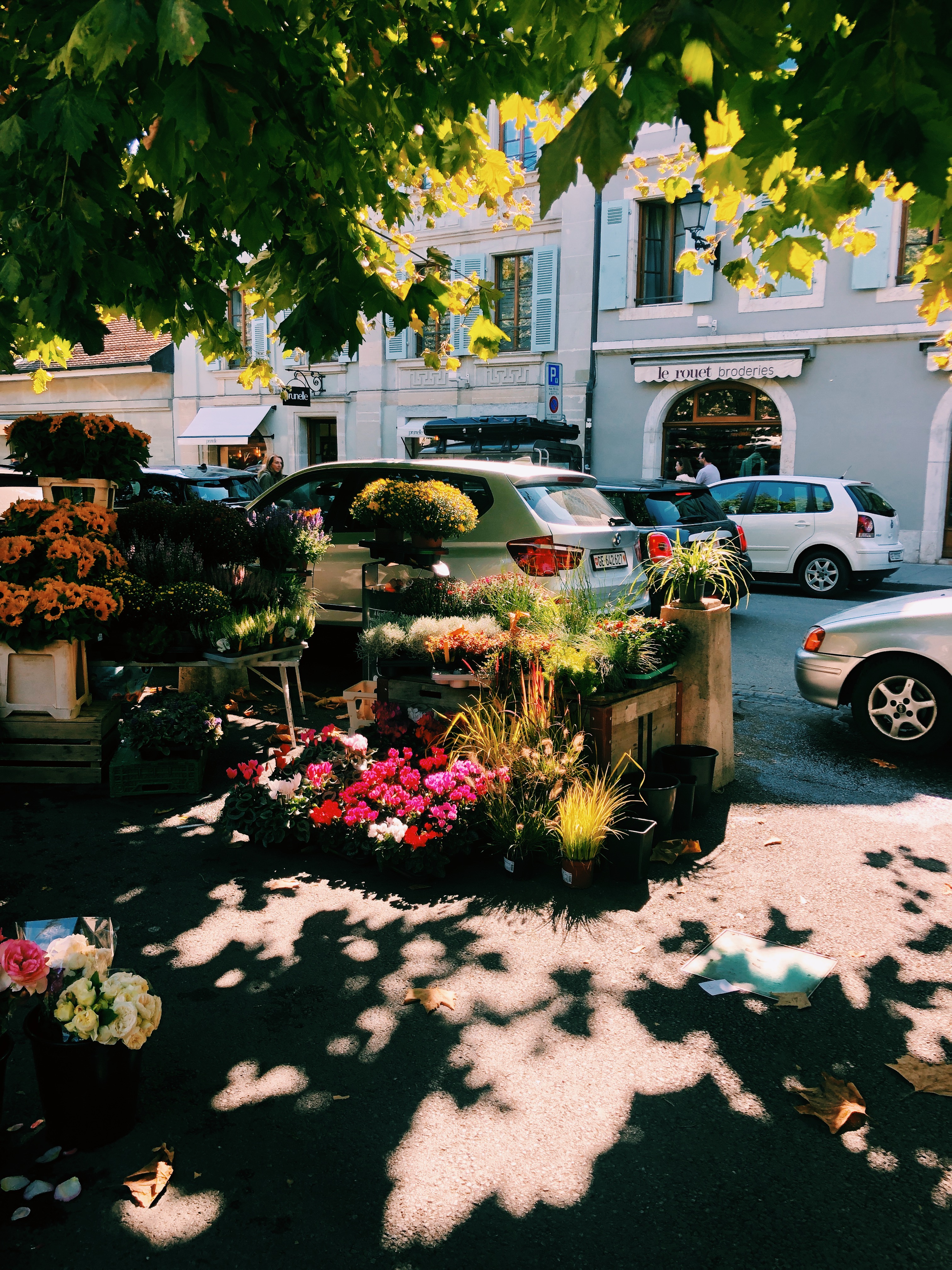 Carouge flower stall in dappled light, autumn, Marché de Carouge
