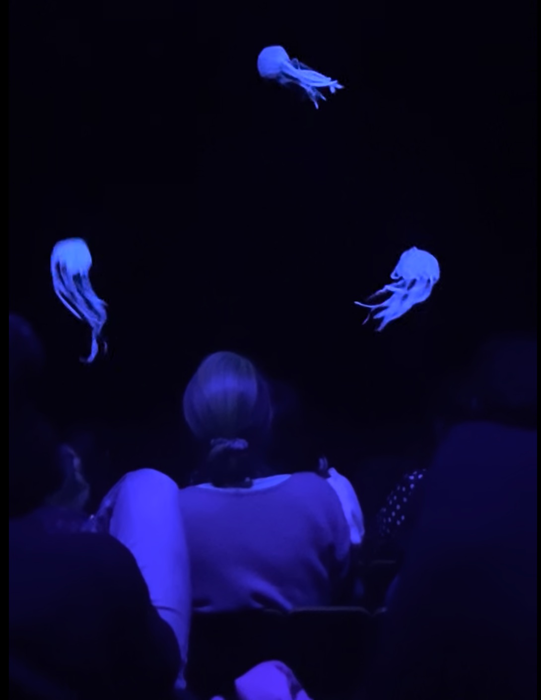 Puppet show at Théâtre des Marionnettes — glowing jellyfish in the dark