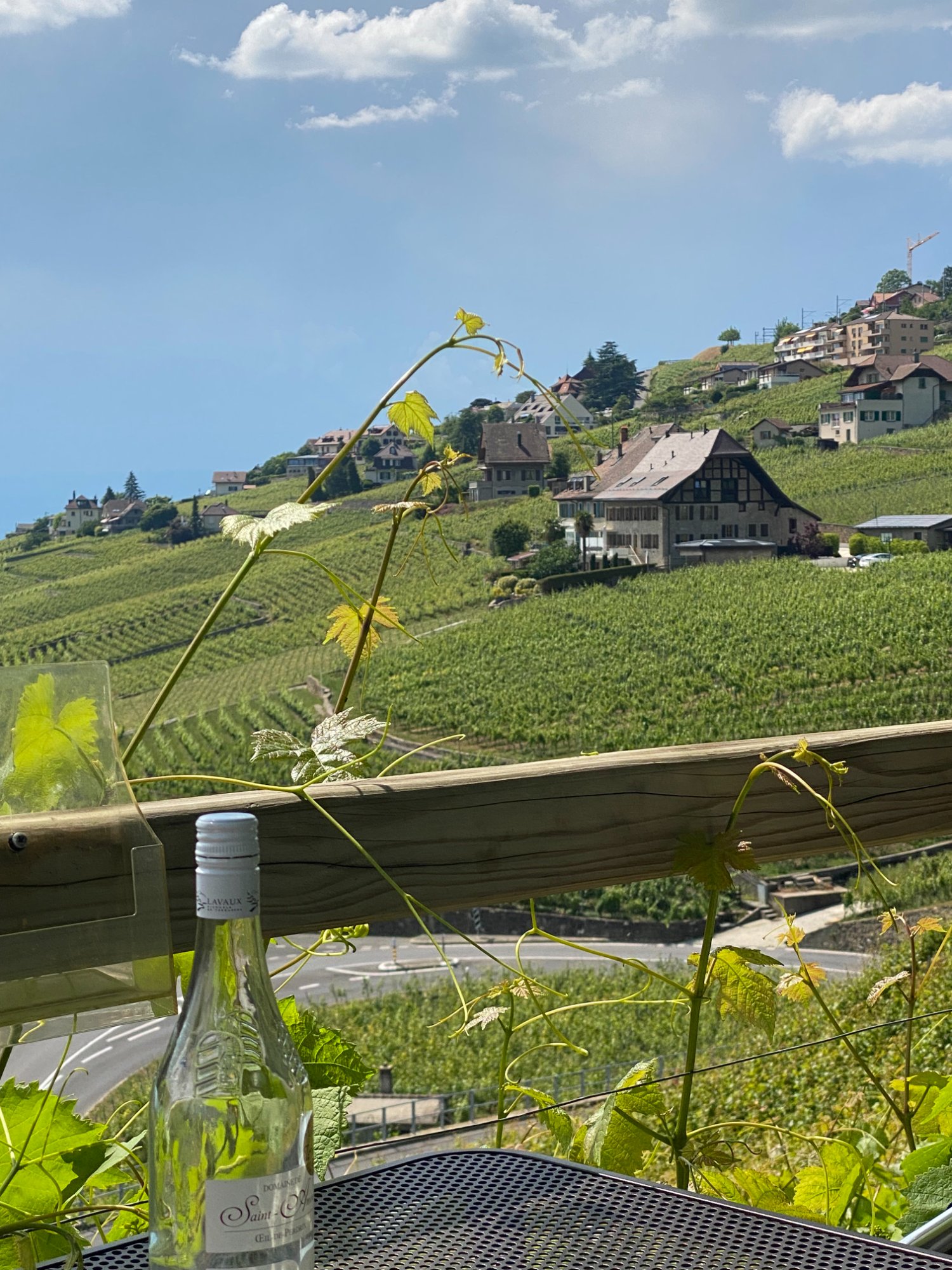 Domaine Saint-Amour wine bottle on table with Lavaux vineyards behind