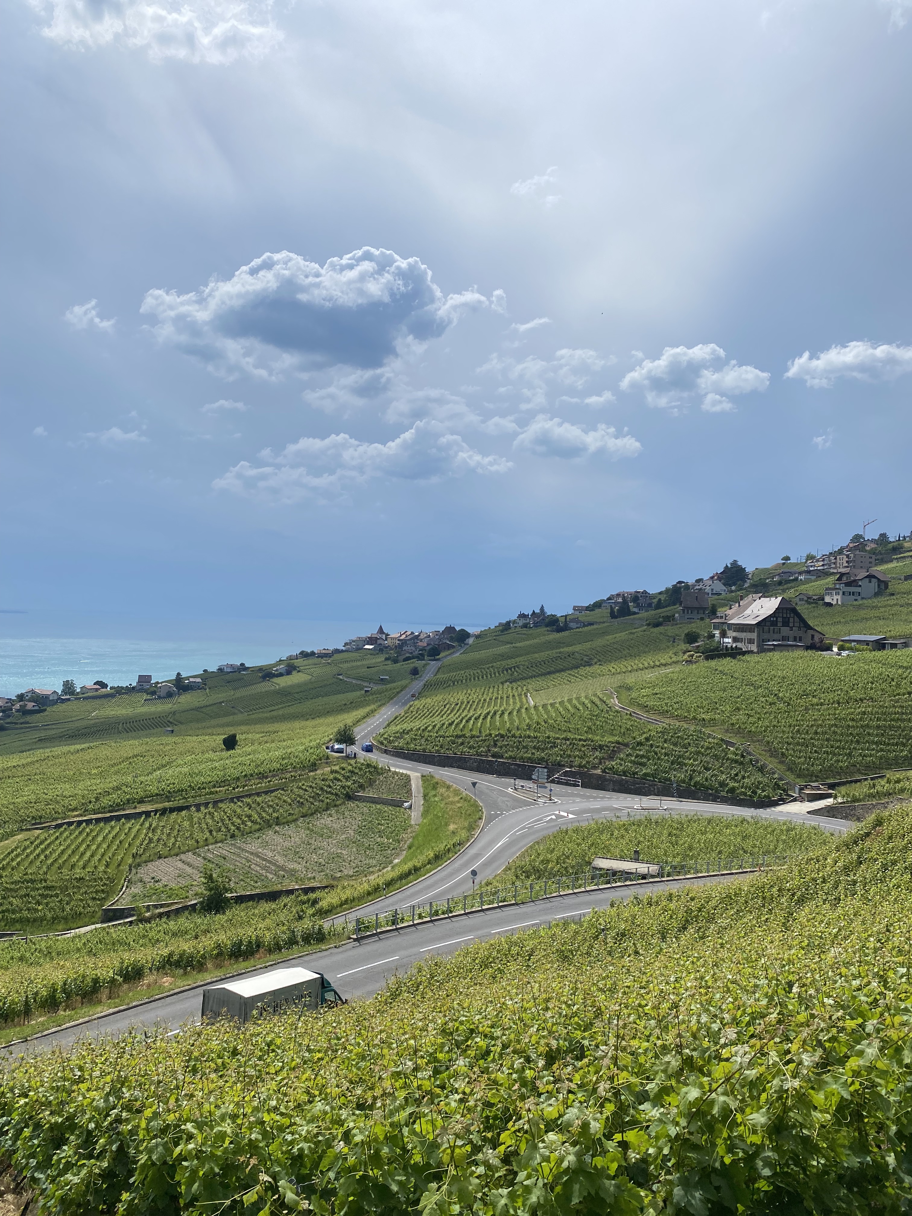 Lavaux vineyard road winding through terraces to Lake Geneva, Vaud Switzerland