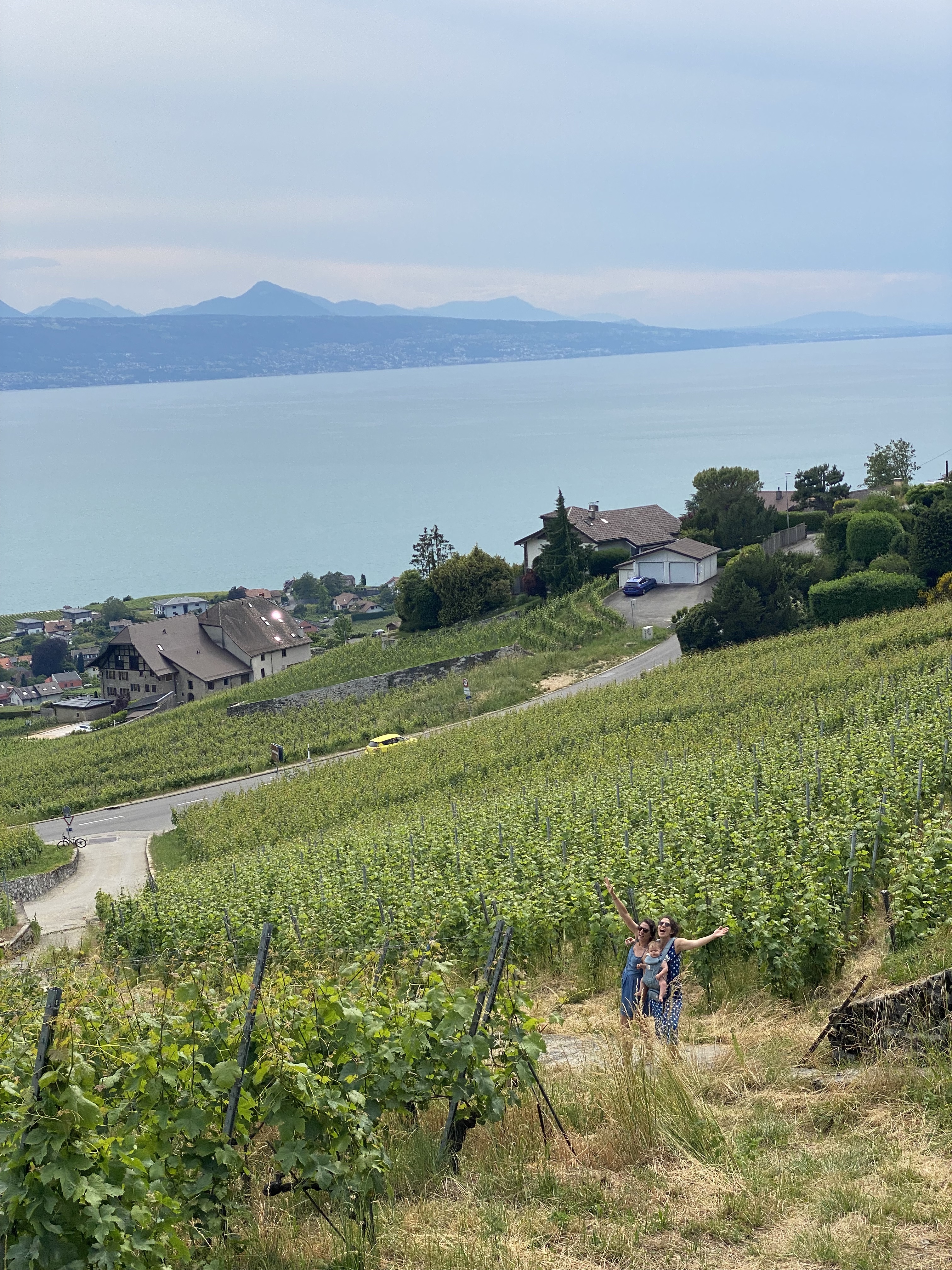 Domaine Saint-Amour terrace, Caveau sign on stone wall, Lavaux