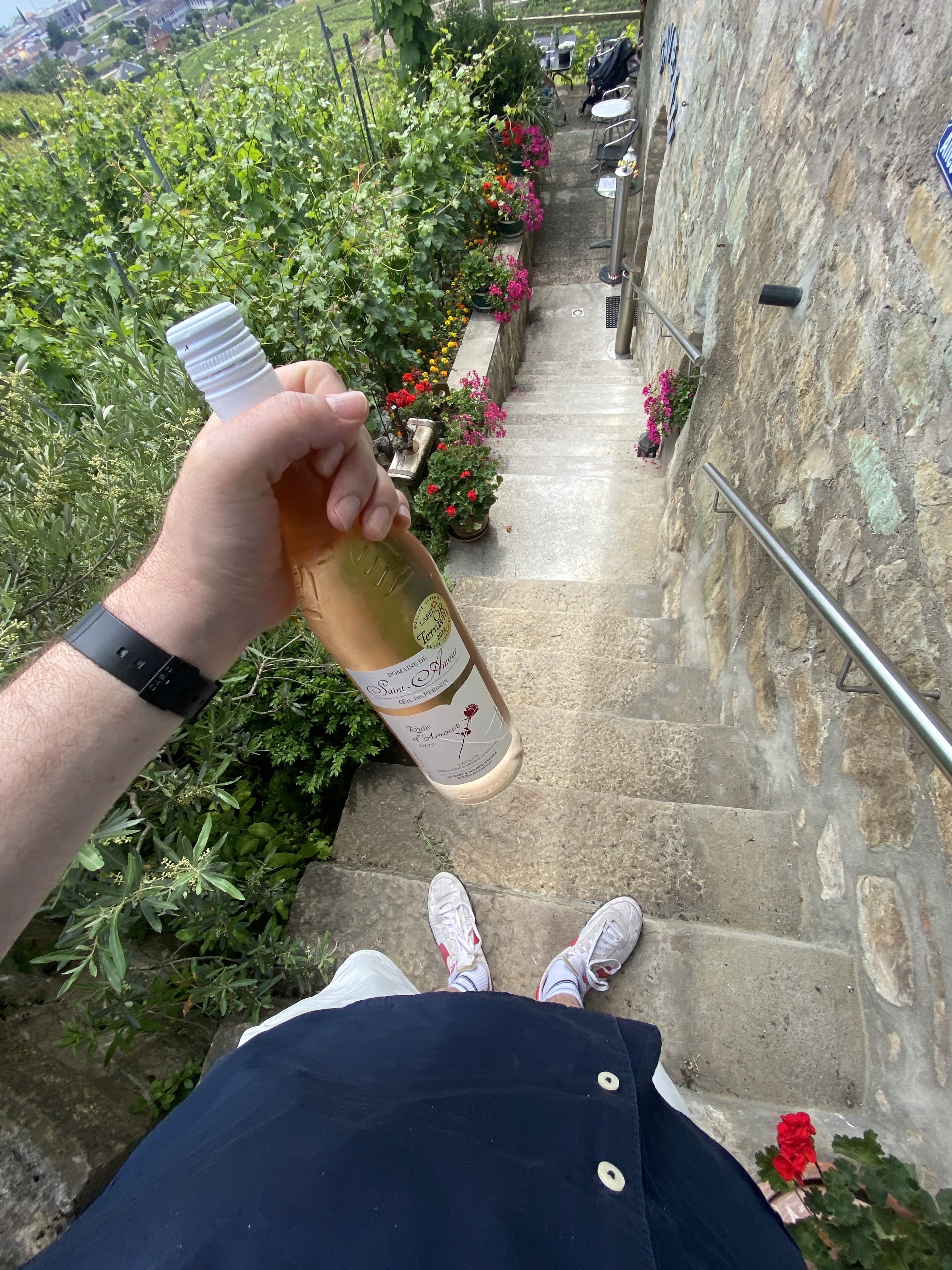 Holding bottle of Domaine Saint-Amour rosé on stone steps surrounded by flowers, Lavaux