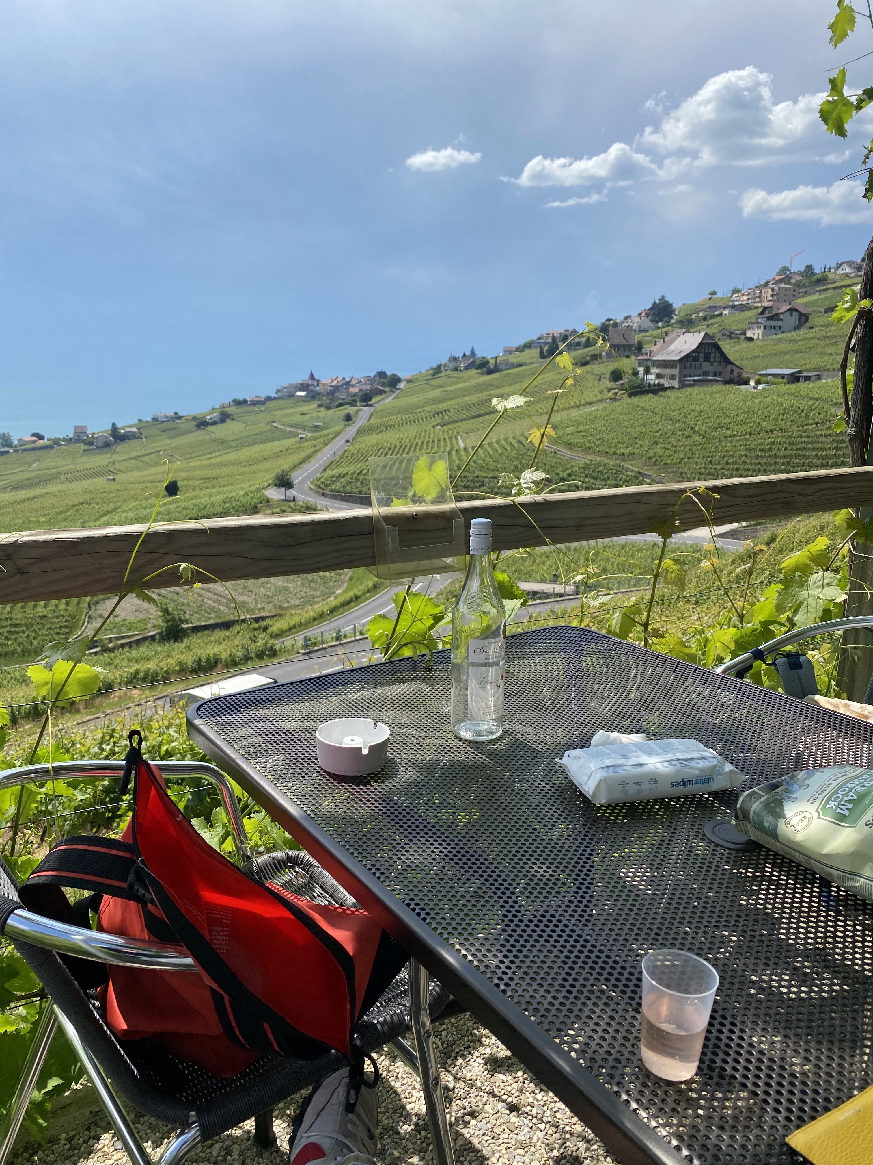 Domaine Saint-Amour terrace with vine pergola, stone cave building, Lavaux