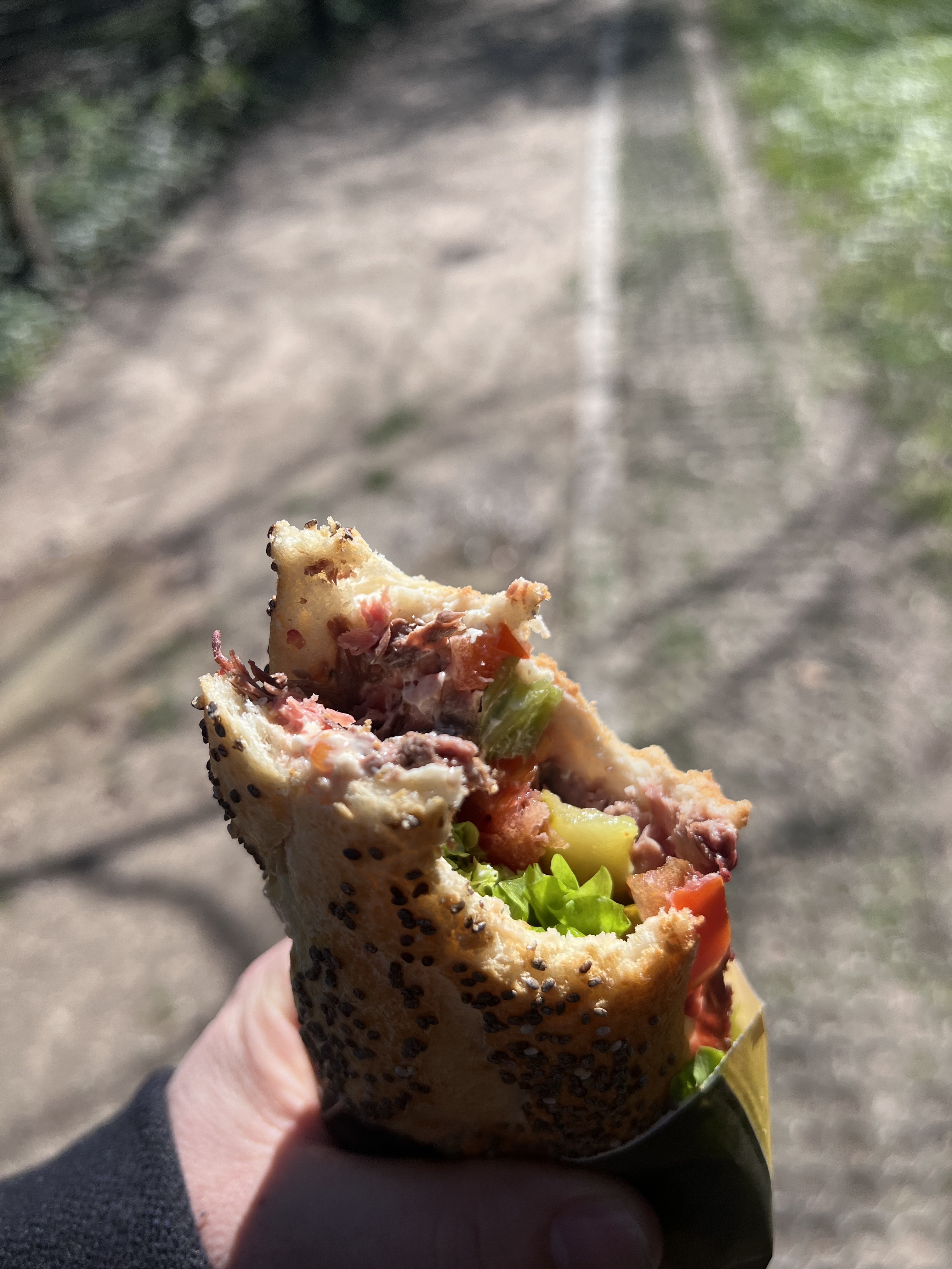 Roast beef sandwich from Mérigonde, eaten in Parc Vermont, Geneva Nations