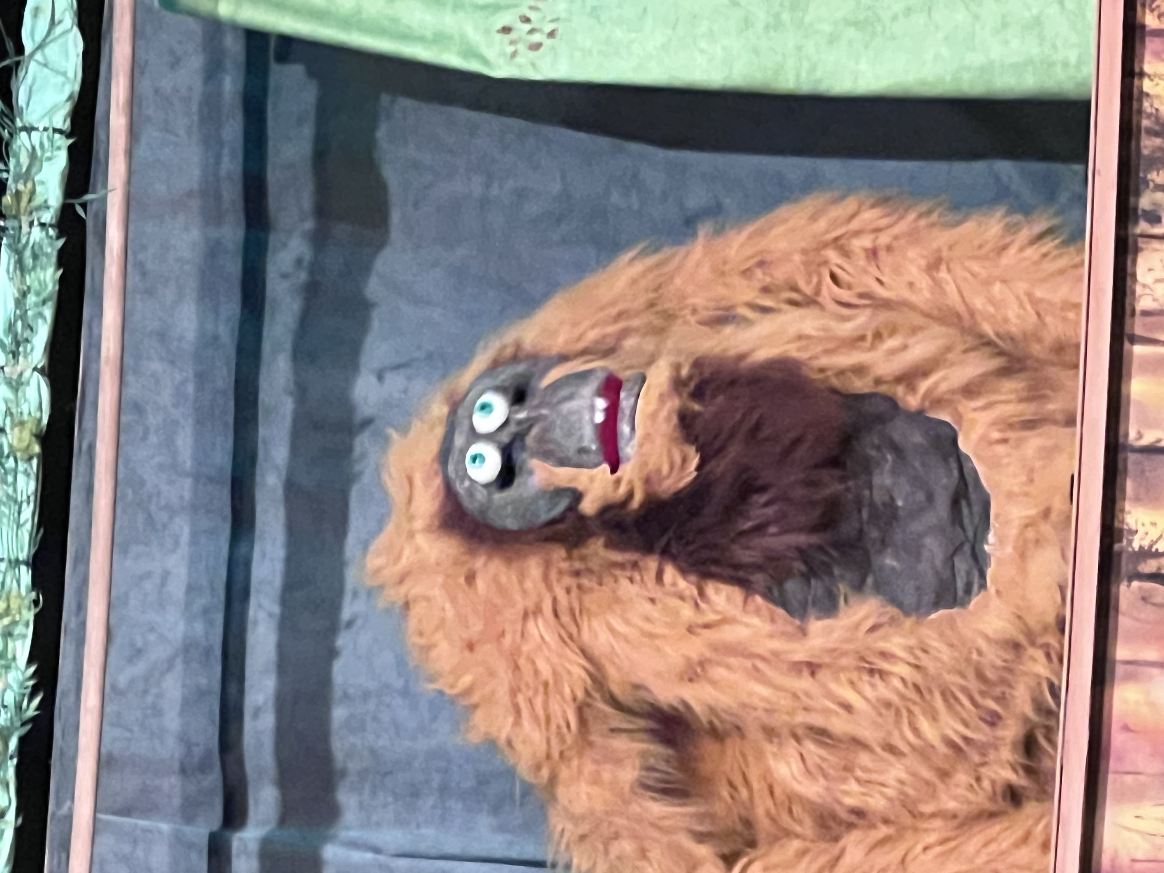 Orangutan puppet on stage — Squashbox Theatre at Simply Theatre Versoix