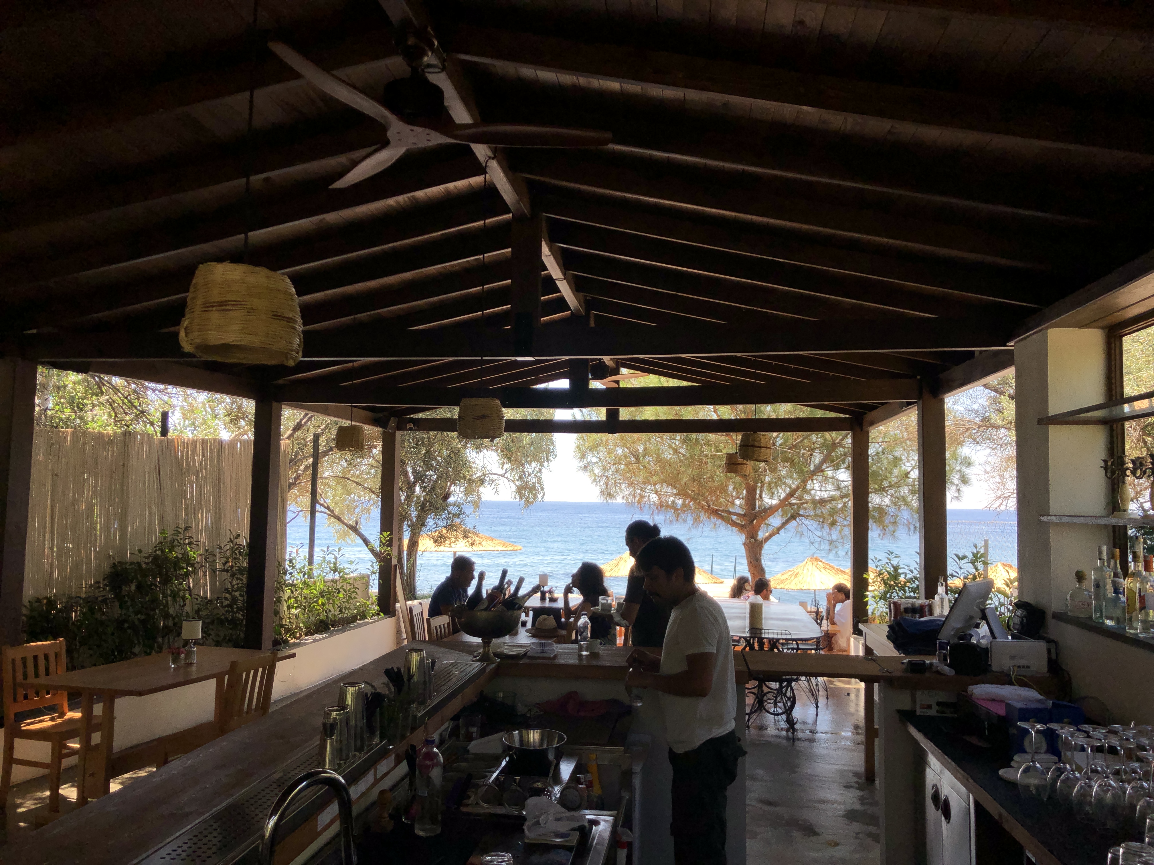 The shaded bar at Simurg Sea looking out through pine trees to the Aegean