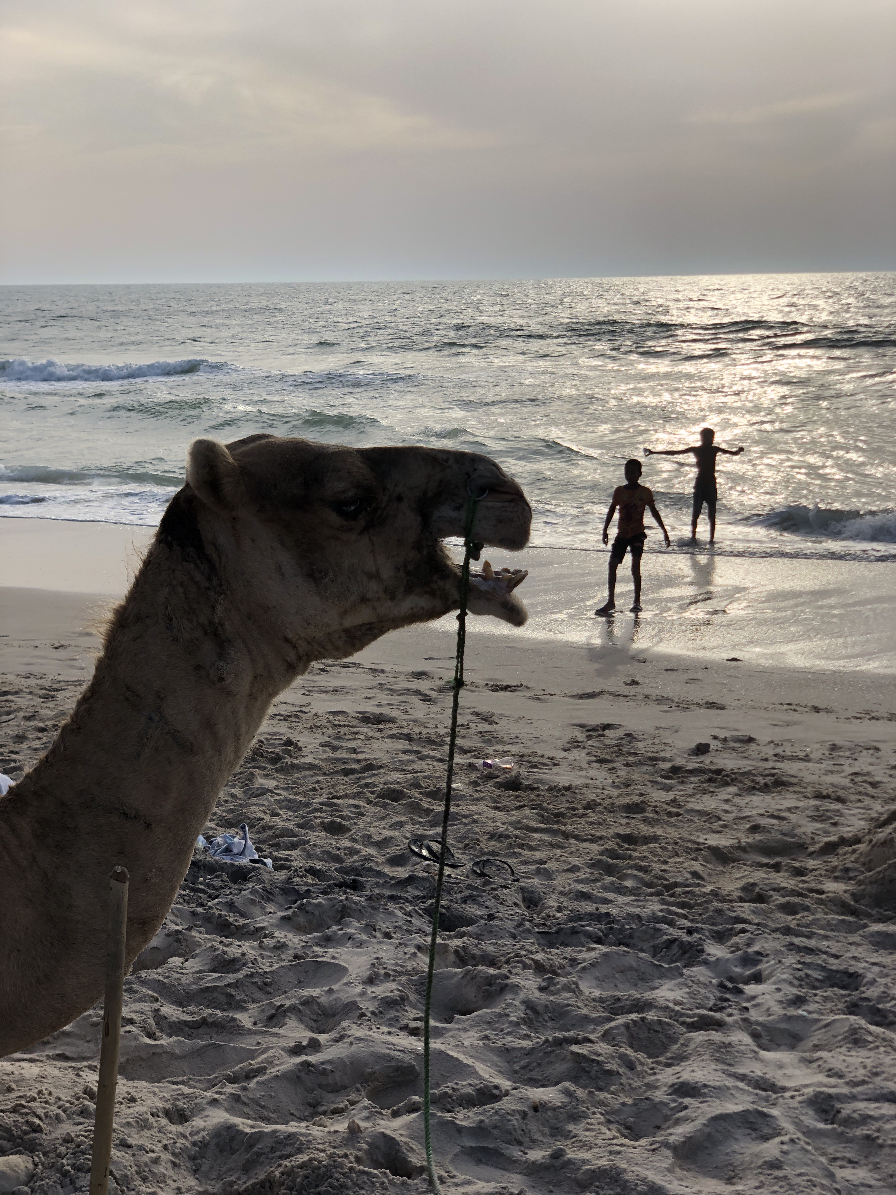 Le Soultane, Nouakchott
