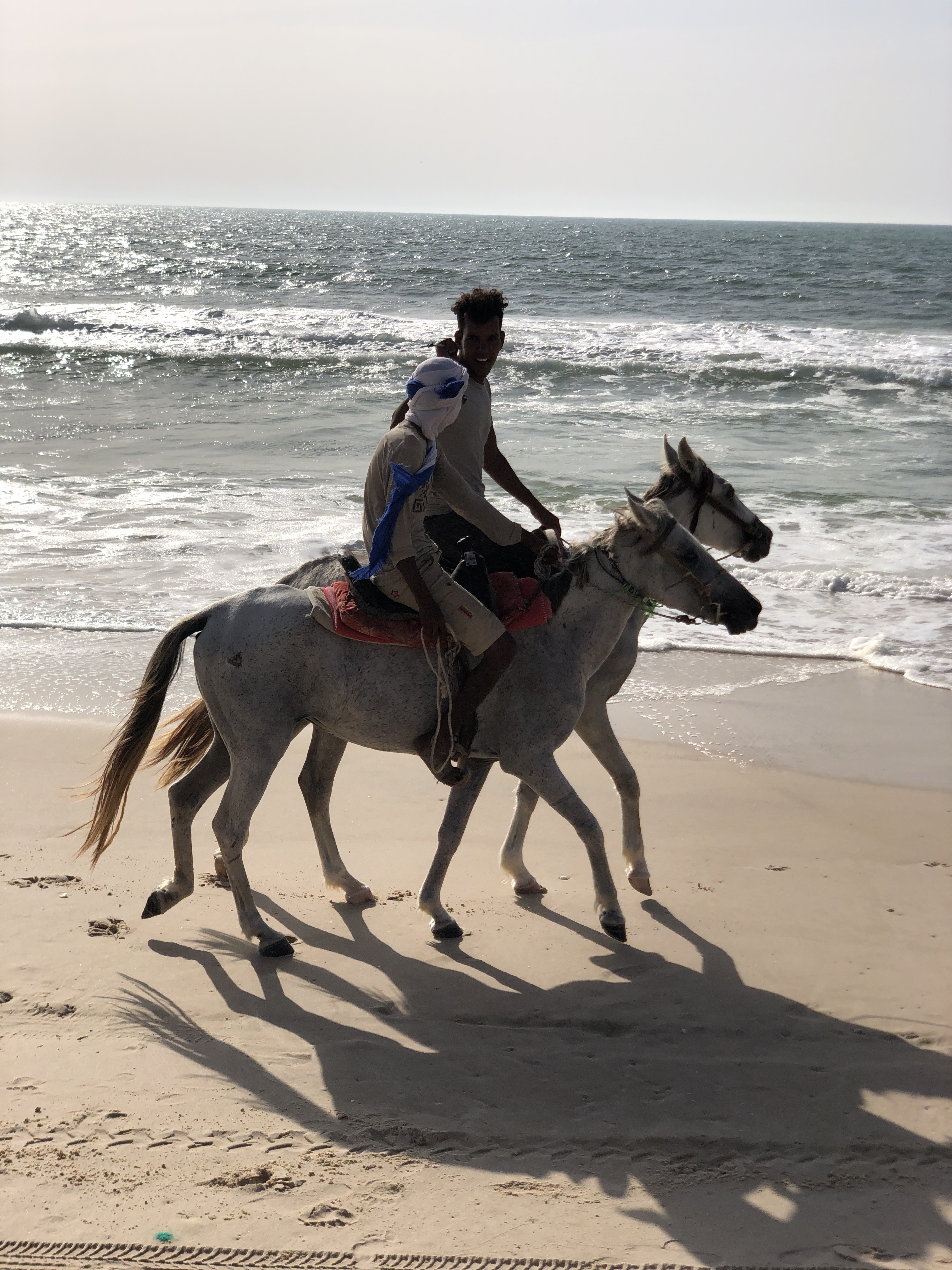 Two riders on white horses galloping along the Atlantic beach at Nouakchott